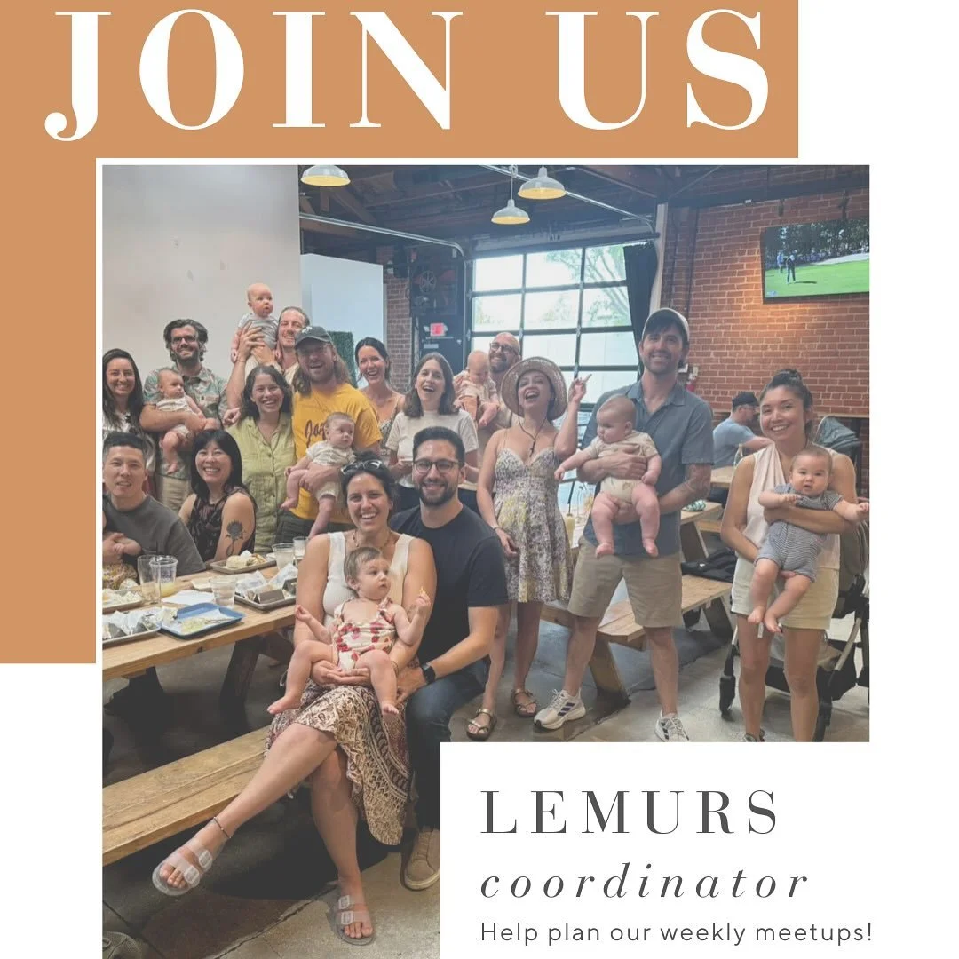 Hey lemurs! We need your help! So far we have had such a fun active group that meets once a week all over NELA. Our wonderful coordinator will be headed back to work soon and we need someone to help out.