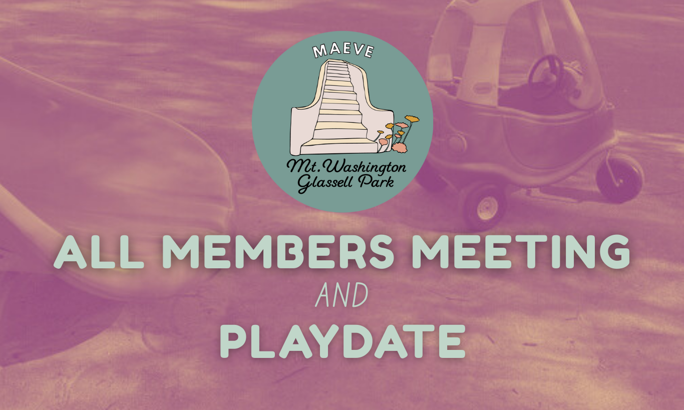 All Members Meeting &amp; Playdate