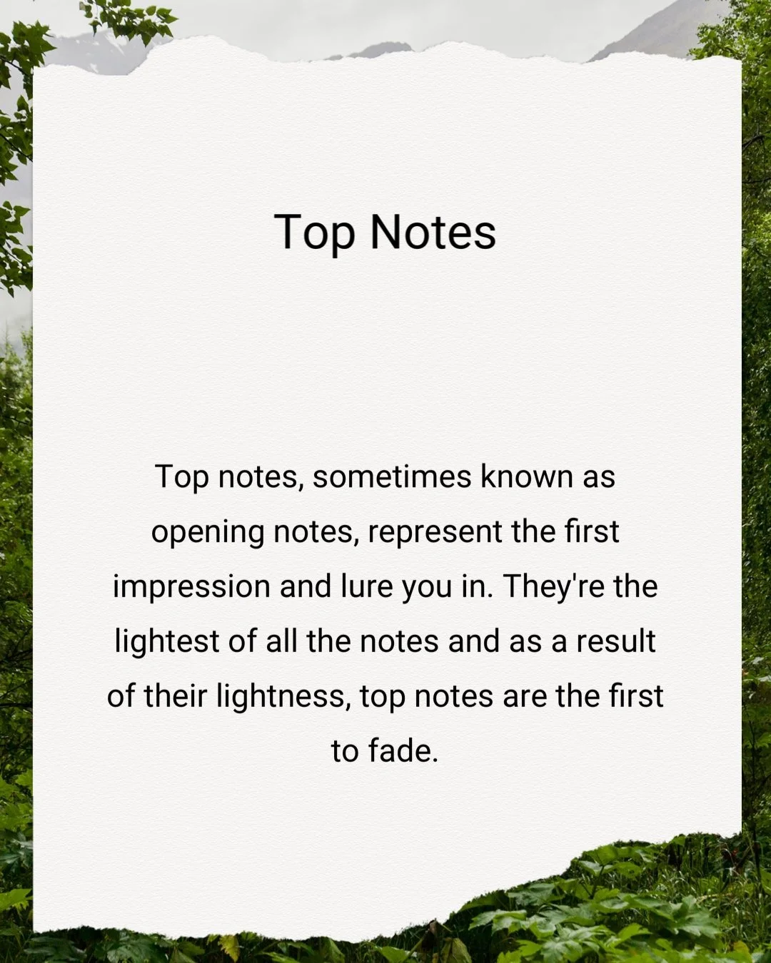 page1.JPG