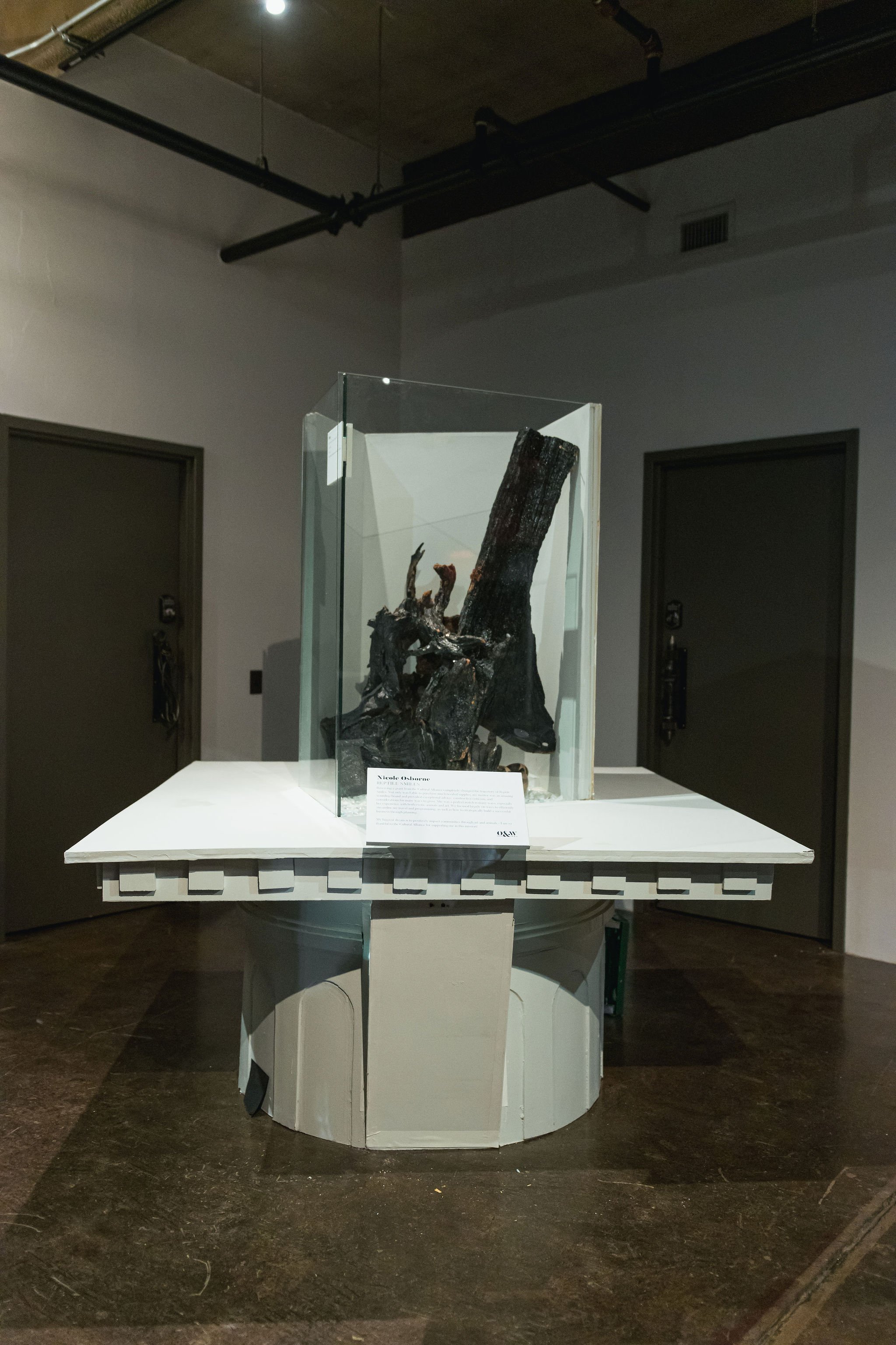 agphoto-60 (1).jpg