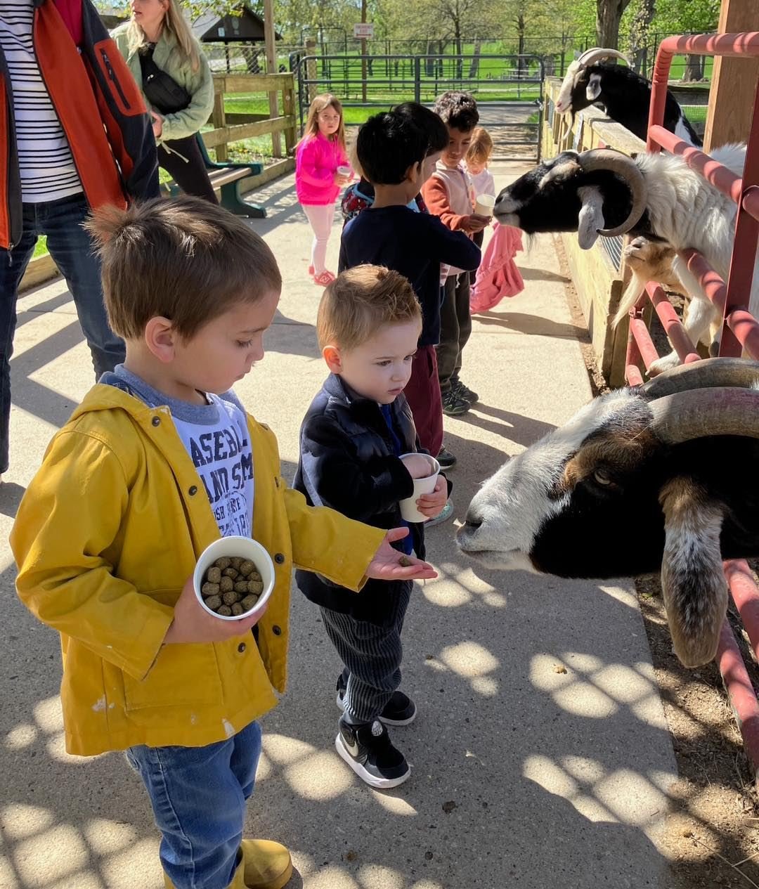 Yesterday our preprimary students got to experience another one of the MCH field trips. We visited Randal Oaks Zoo and had a wonderful time seeing and interacting with all the animals! We&rsquo;re looking forward to the next adventure and another sch