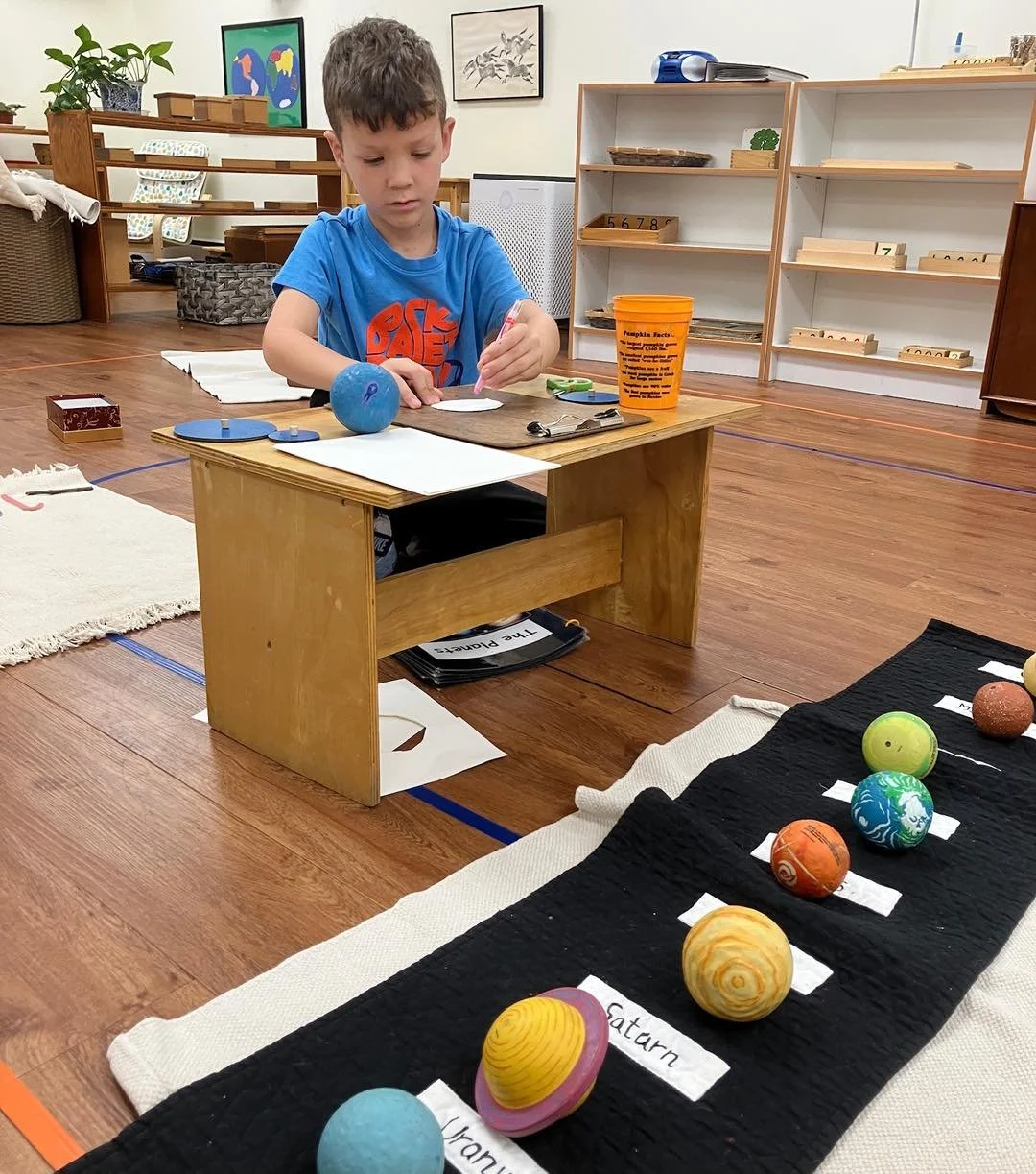 The 3&ndash;6 classrooms are abuzz with purposeful activity as students immerse themselves in their work. Children choose activities that spark their interest and engage independently, developing focus and confidence. With so much to explore across a
