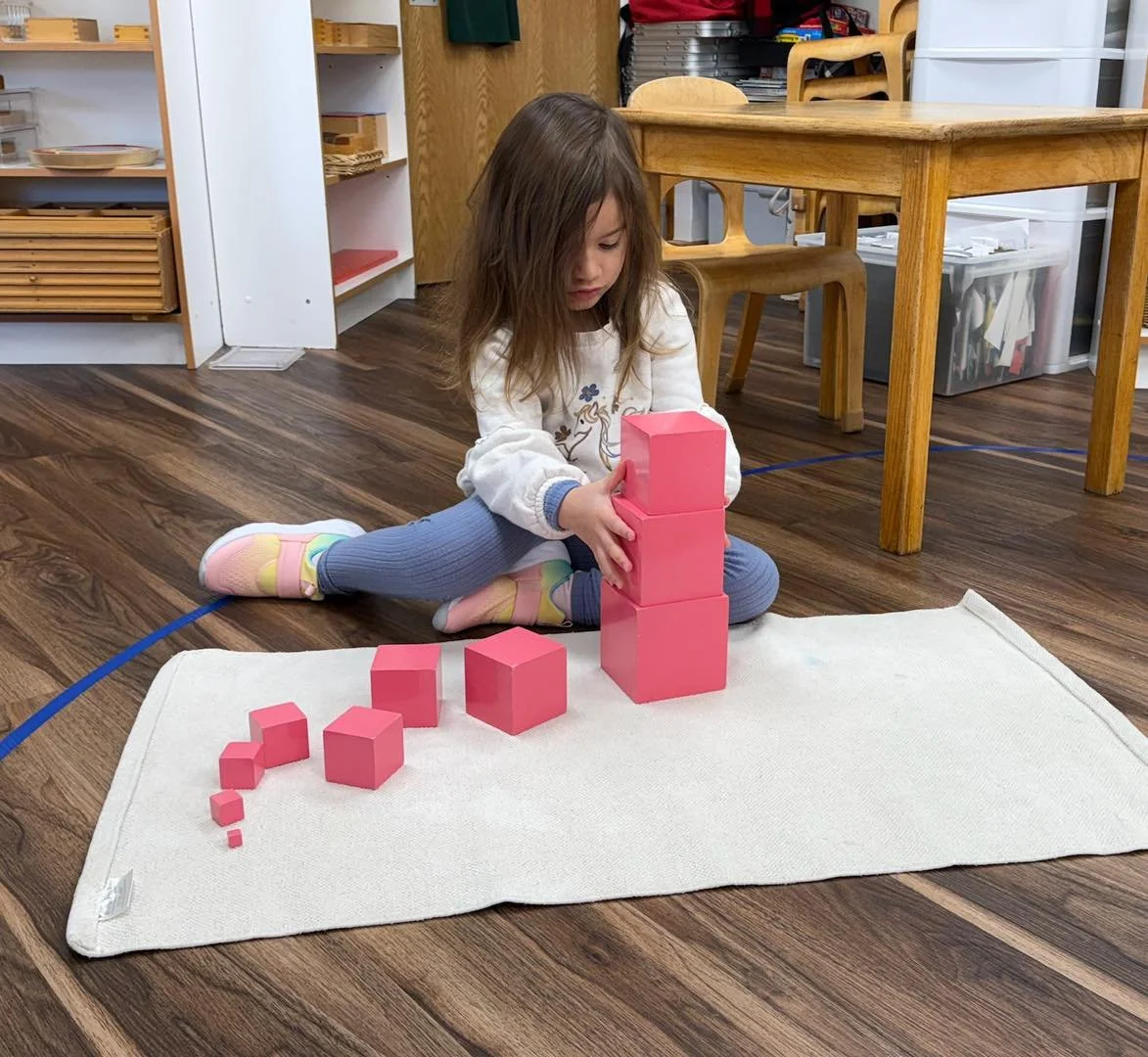 Busy work is happening in our Oak and Willow Rooms! While the past couple of weeks kept us indoors due to the cold weather, our Early Childhood students happily explored the activities within their classroom environment. Younger children are developi