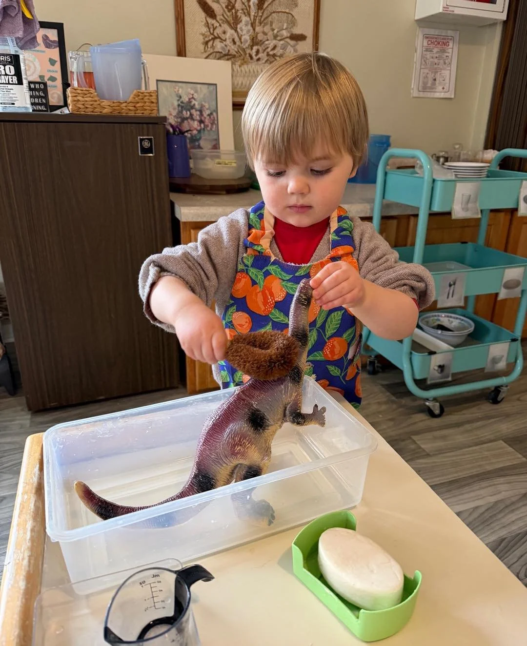 Practical Life work is essential in our Maple Room. Through meaningful, hands-on experiences, our toddler students are building independence, coordination, and confidence. Using the Montessori Handwashing Stand, caring for materials through scrubbing