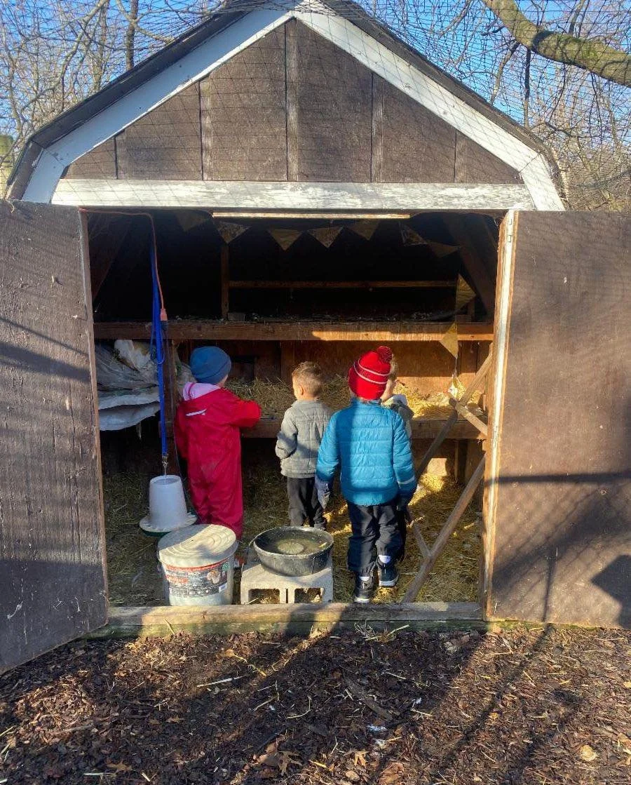 We love caring for our chickens and providing them with fresh water, feed, and sometimes fruit and vegetable scraps!

#setonmontessori #montessorieducation #montessori #setonmontessorischool #montessorioutdoors