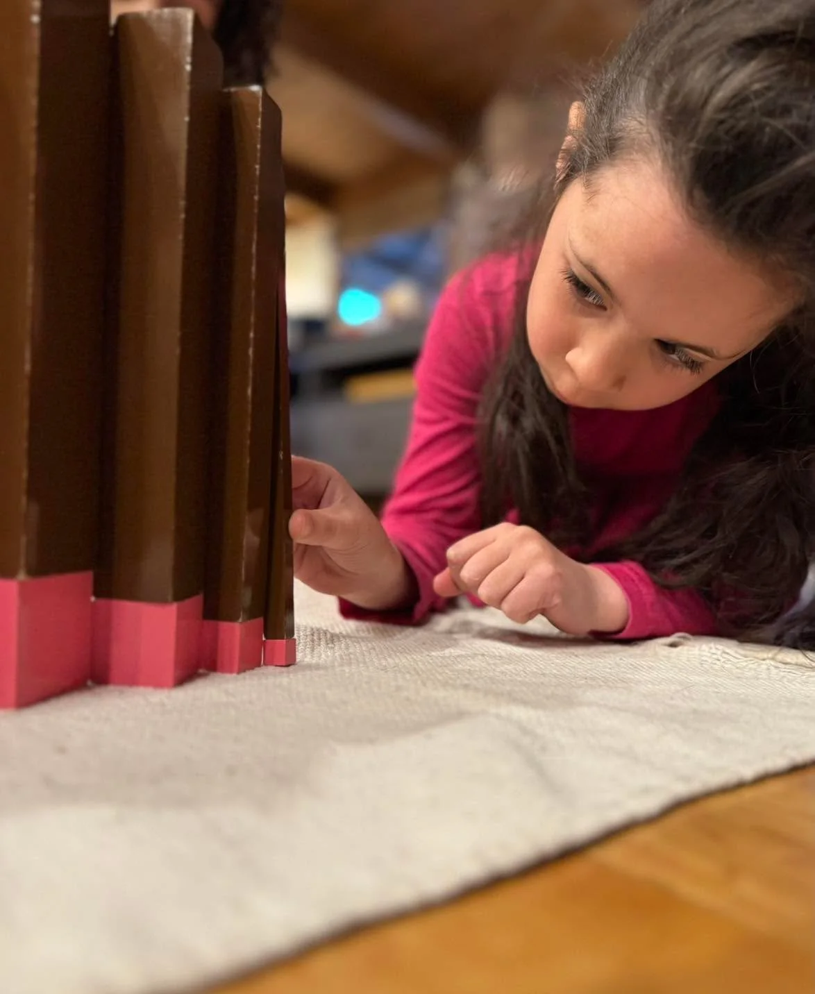 Children are keen and thoughtful observers and through their study of the world around them they begin to see connections and make correlations, like that of the Pink Tower cubes and the Brown Stair prisms&mdash;discovering size, dimension, relations