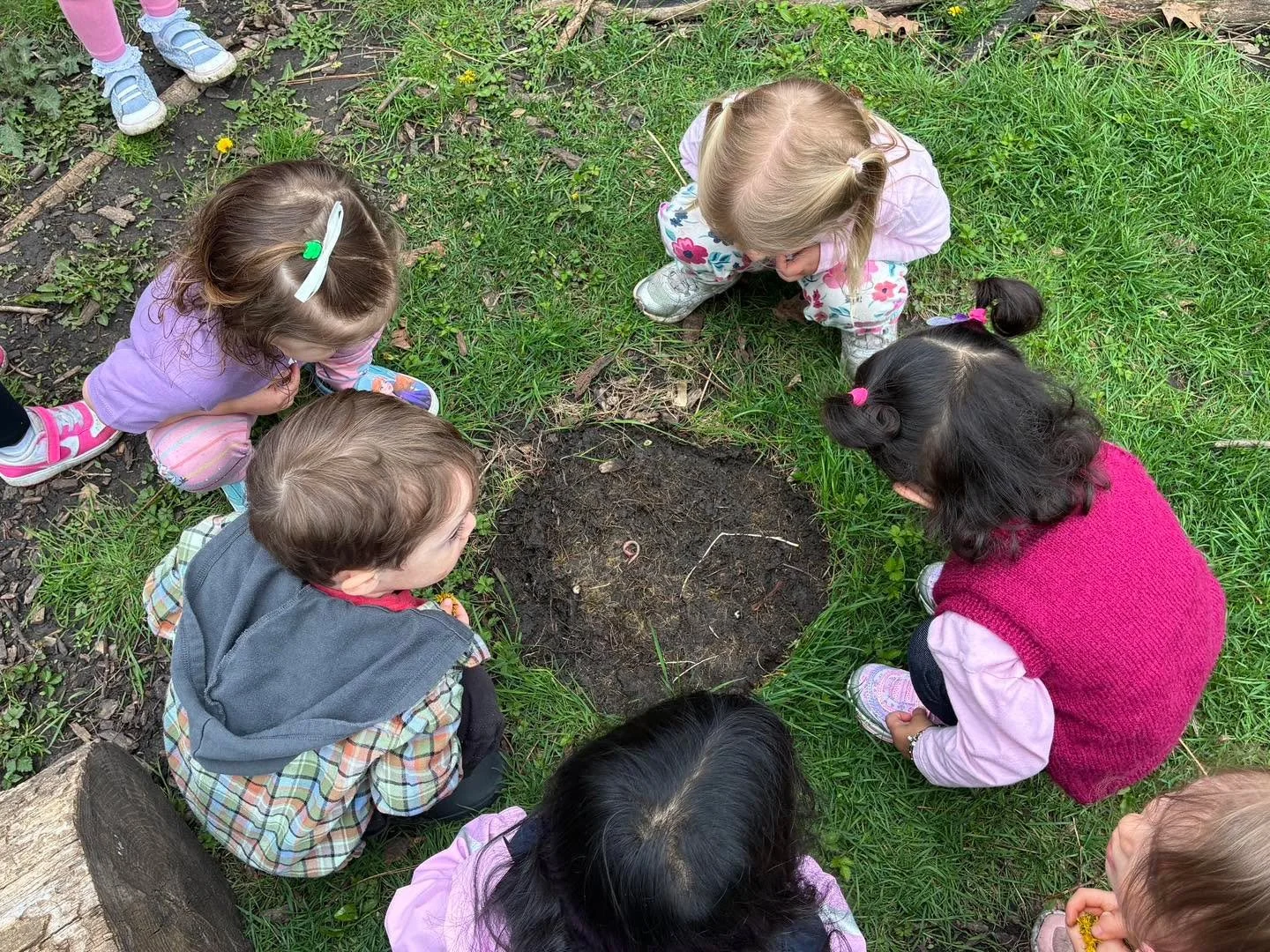 All Eyes on the VIP (Very Important&hellip; worm)!

Spring is a favorite season at Seton (OK, we actually love them all)! Each day brings something new to discover as nature awakens&mdash;budding flowers, leafing trees, birdsong filling the air, and 