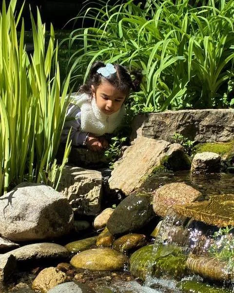 Dr. Montessori said, "There is no description, no image in any book that is capable of replacing the sight of real trees, and all the life to be found around them, in a real forest".

Our beautiful campus provides so many opportunities for 