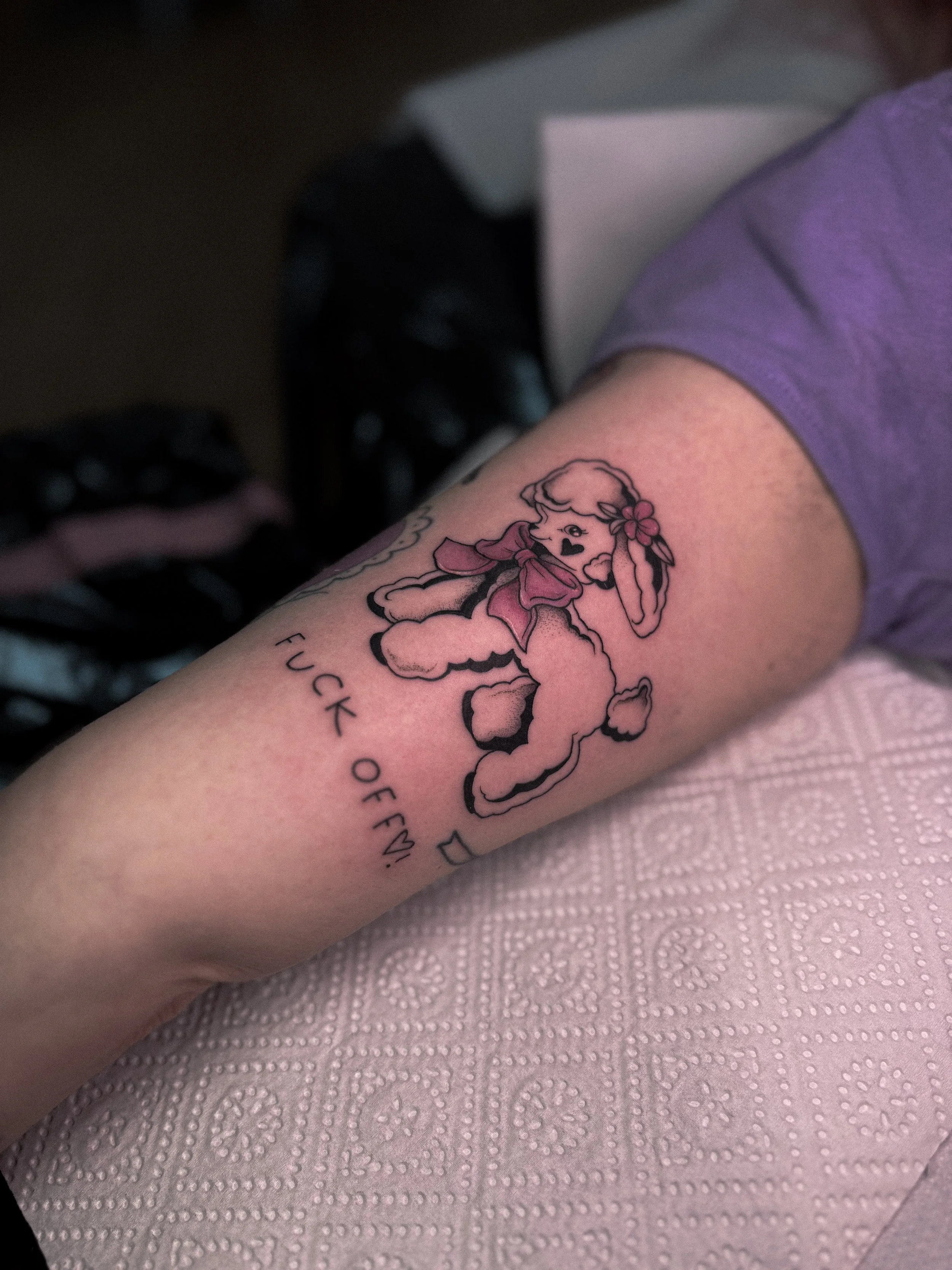 IMG_6229.jpeg
