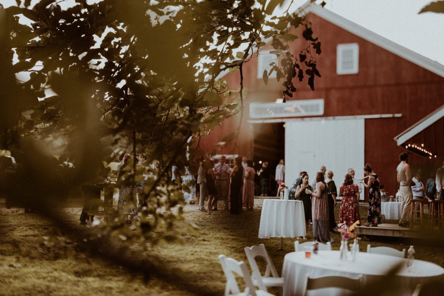 kitz+farm+summer+wedding-new+england+wedding+photographer-vanessa+alves+photography-76.jpg