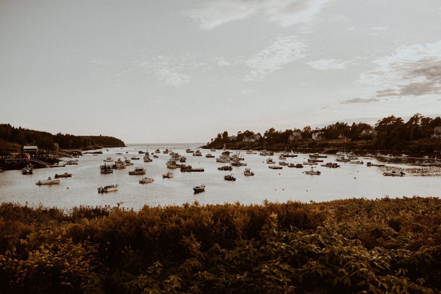 bailey-island-maine-engagement-session-vanessaalvesphotography32.jpg