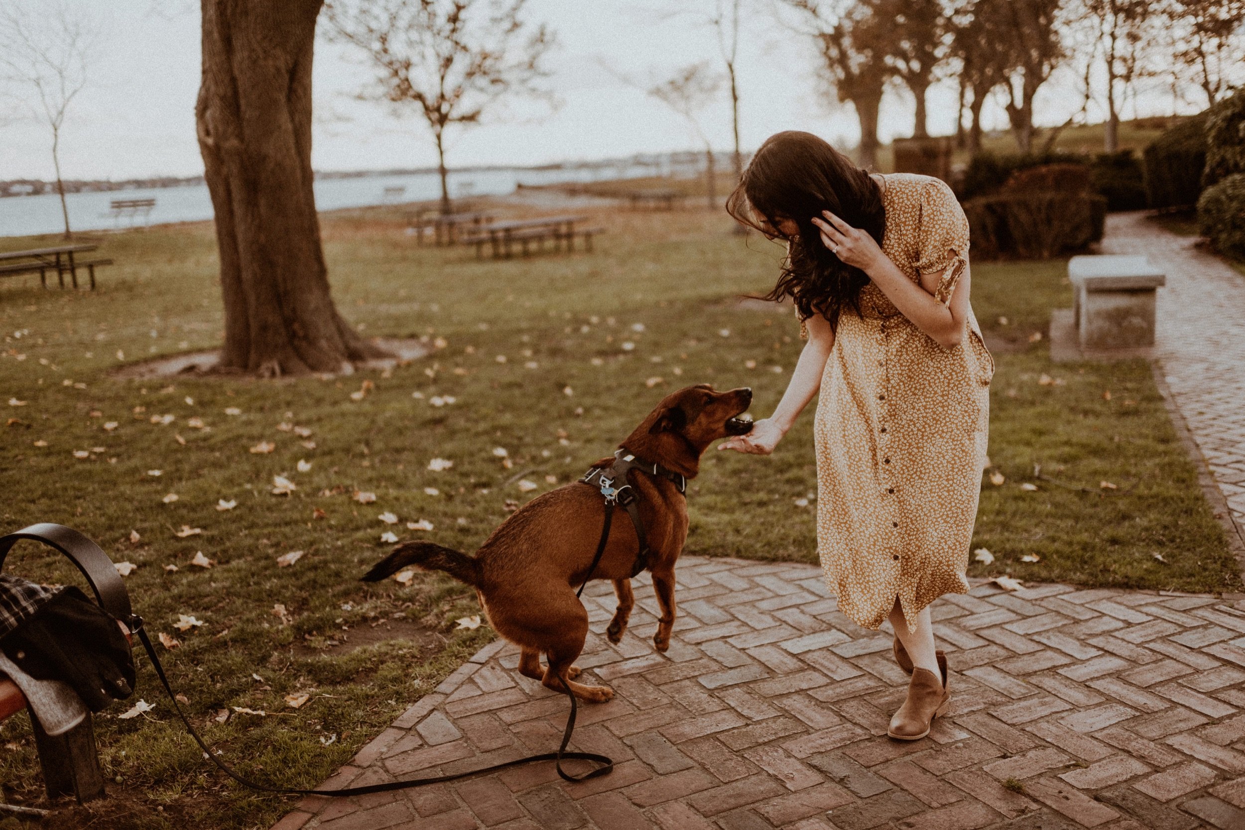 20_Lynch Park Rose Garden Sunset Engagement Session Boston Elopement Photographer .jpg