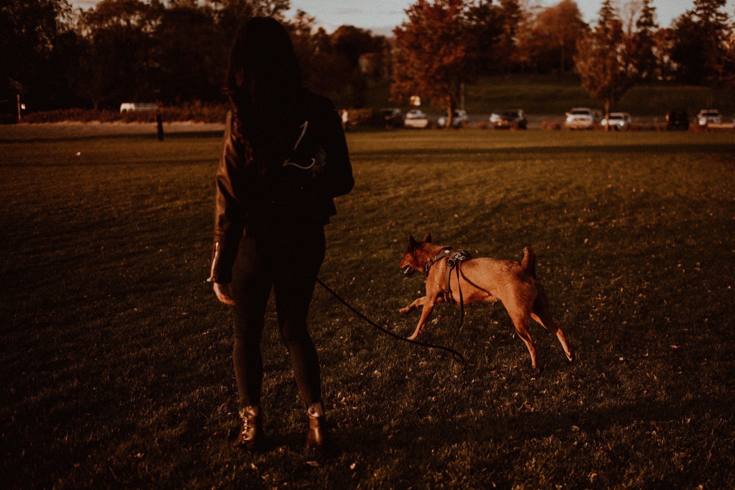 39_Lynch Park Rose Garden Sunset Engagement Session Boston Elopement Photographer .jpg