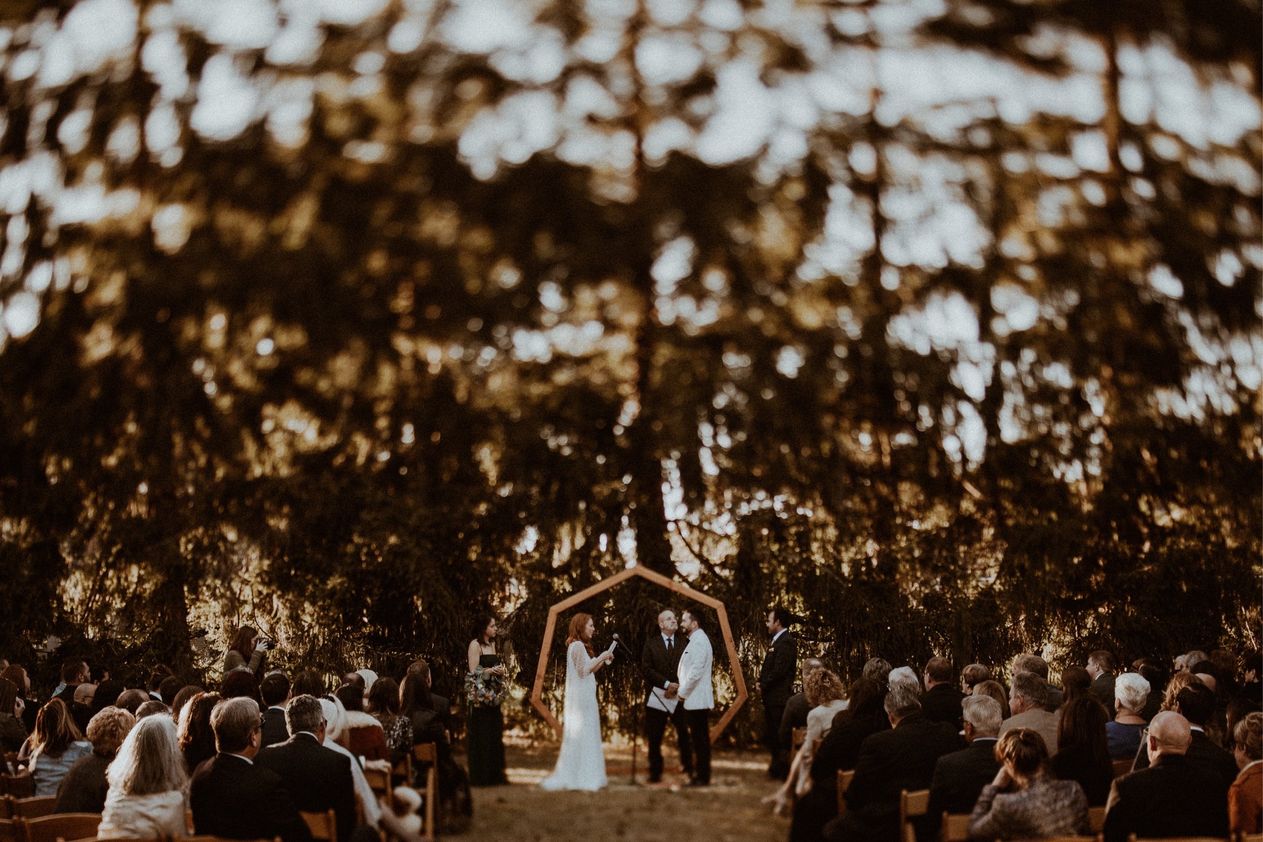 071_Timeless Backyard Wedding in Rhode Island - Vanessa Alves Photography.jpg