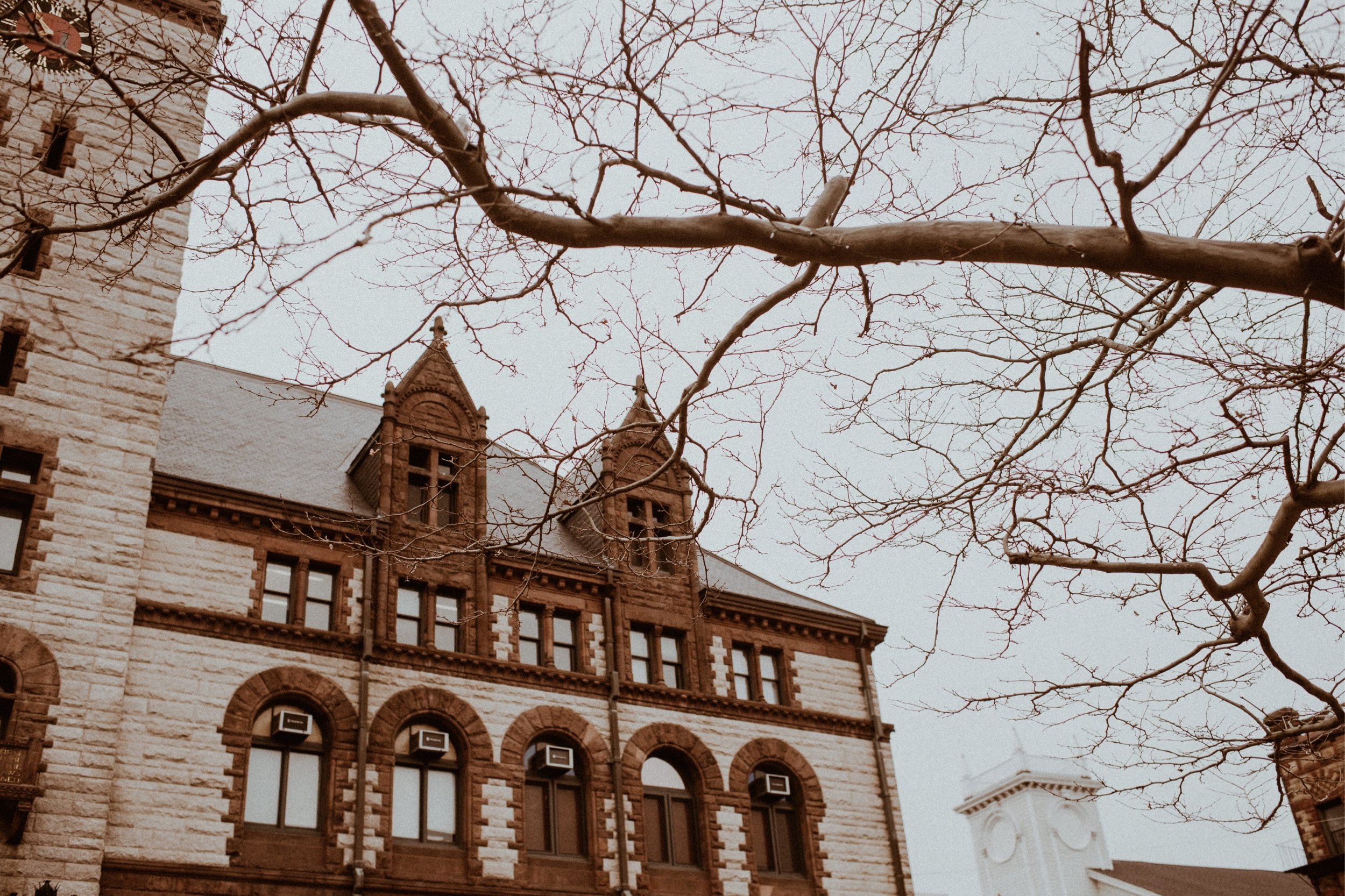 01_Winter Cambridge MA City Hall Elopement - Vanessa Alves Photography%0A.jpg