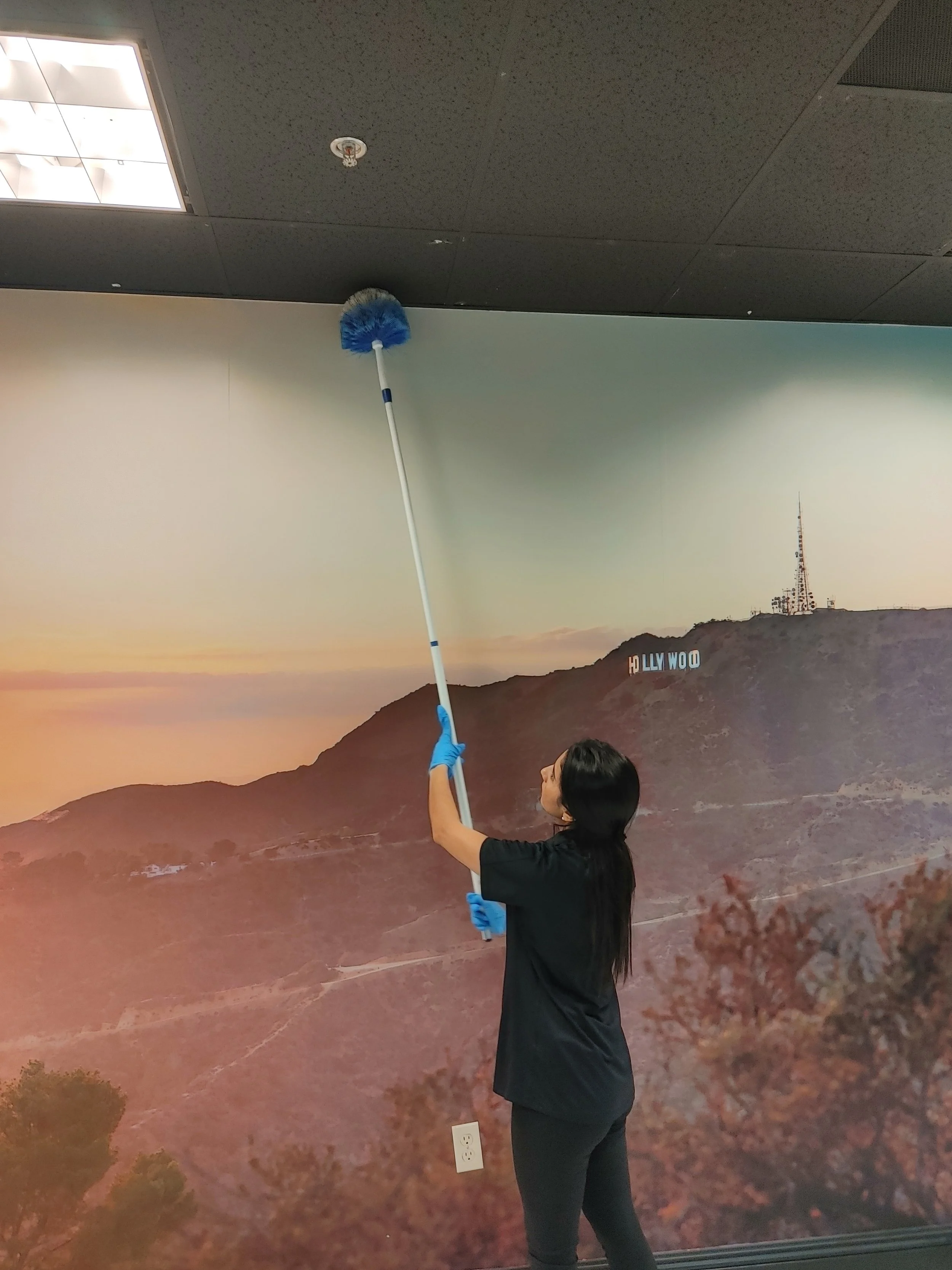 Irene Spider Web3.jpg