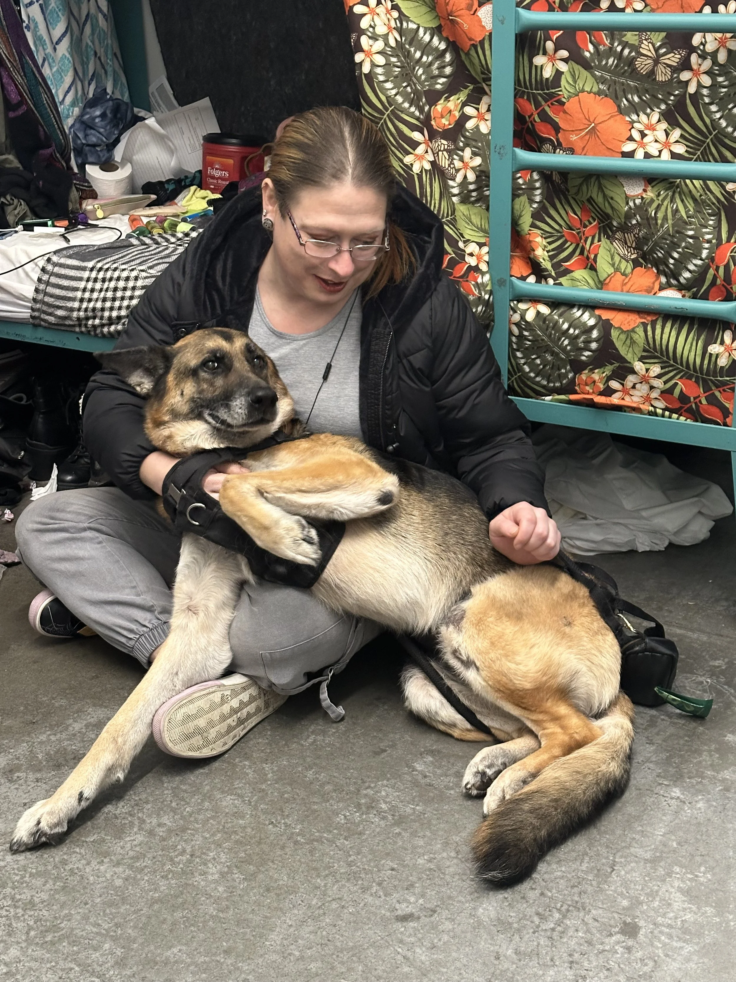 Homeless people with pets secure permanent housing faster, new data shows