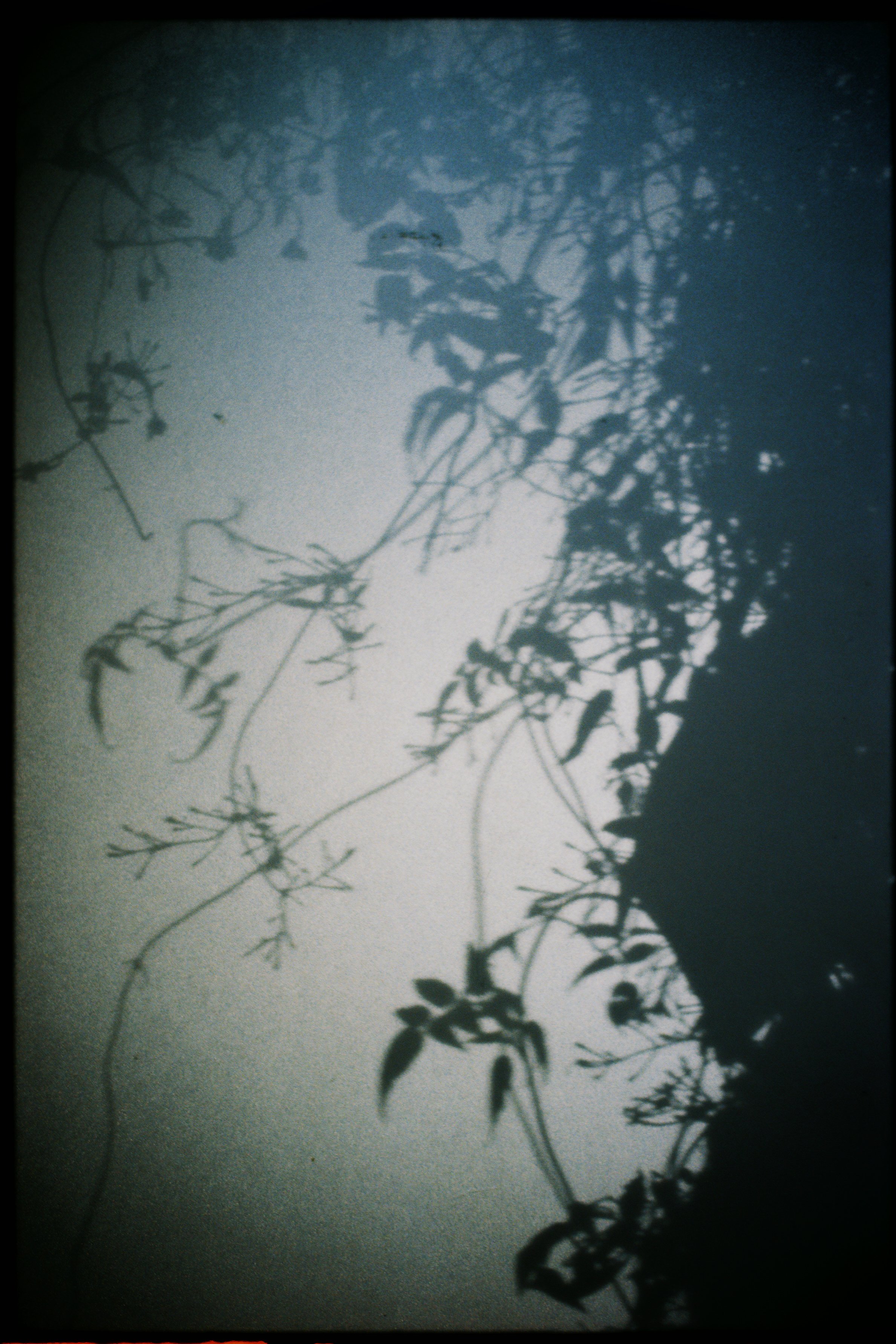 AD_0052_Portra%20400_111448-R1-046-21A Edited.JPG