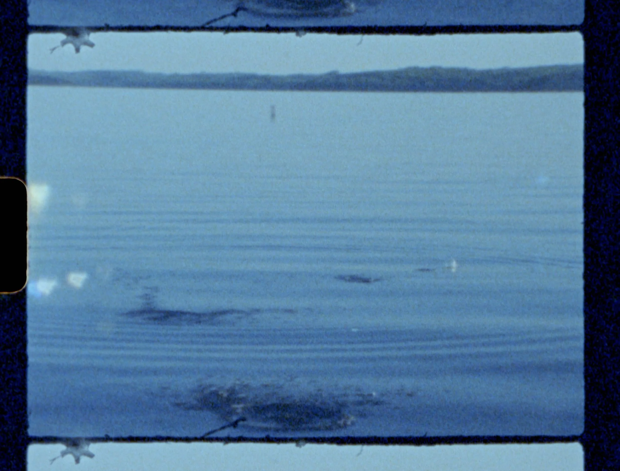 Denis%232392-96.00_01_00_07.Still007 9 Edited.JPG