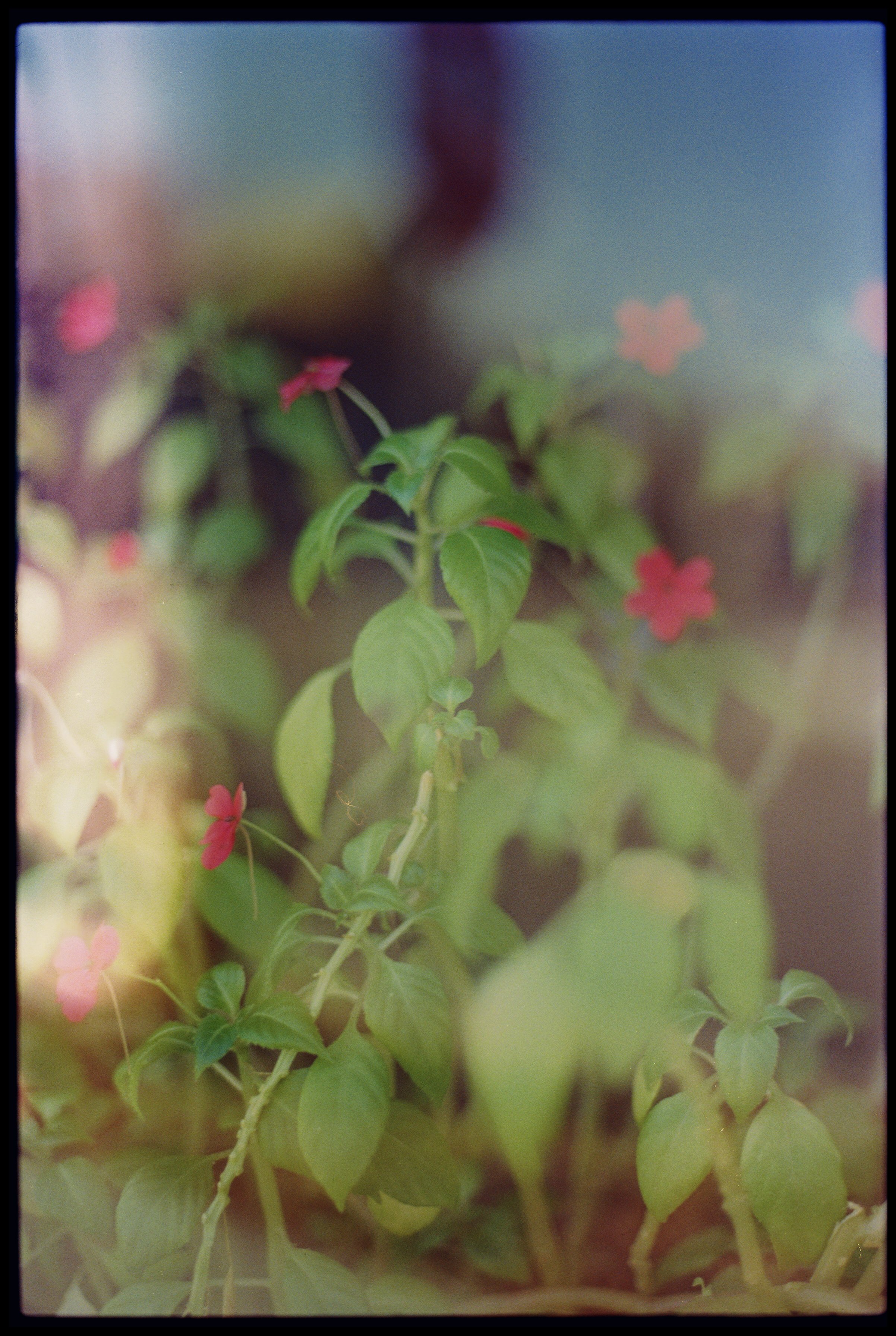 AD_1473_500T_024632-R1-E005 Edited 3.JPG