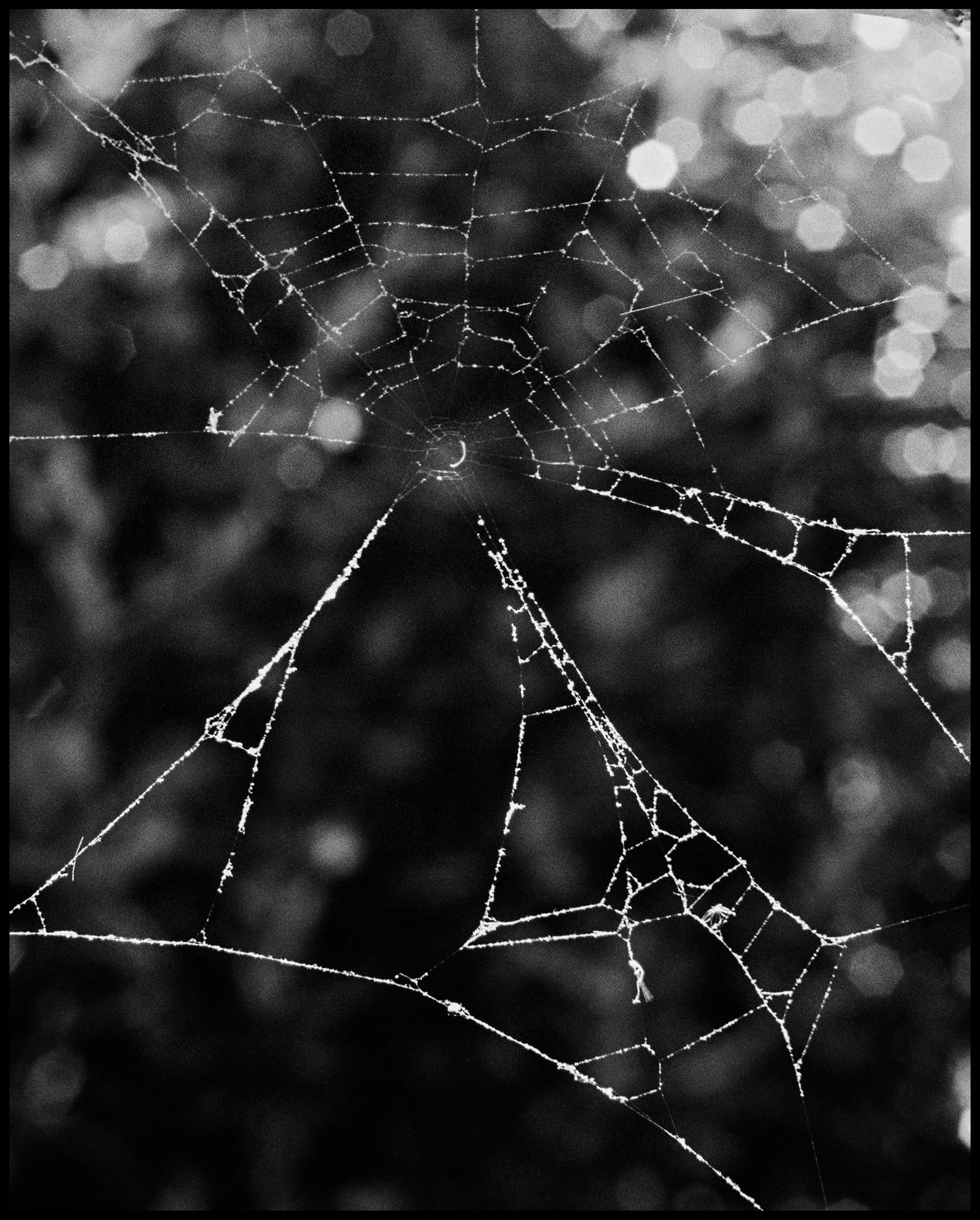 AD_6351_Portra%20400_111104-R1-013-5 Edited.jpg