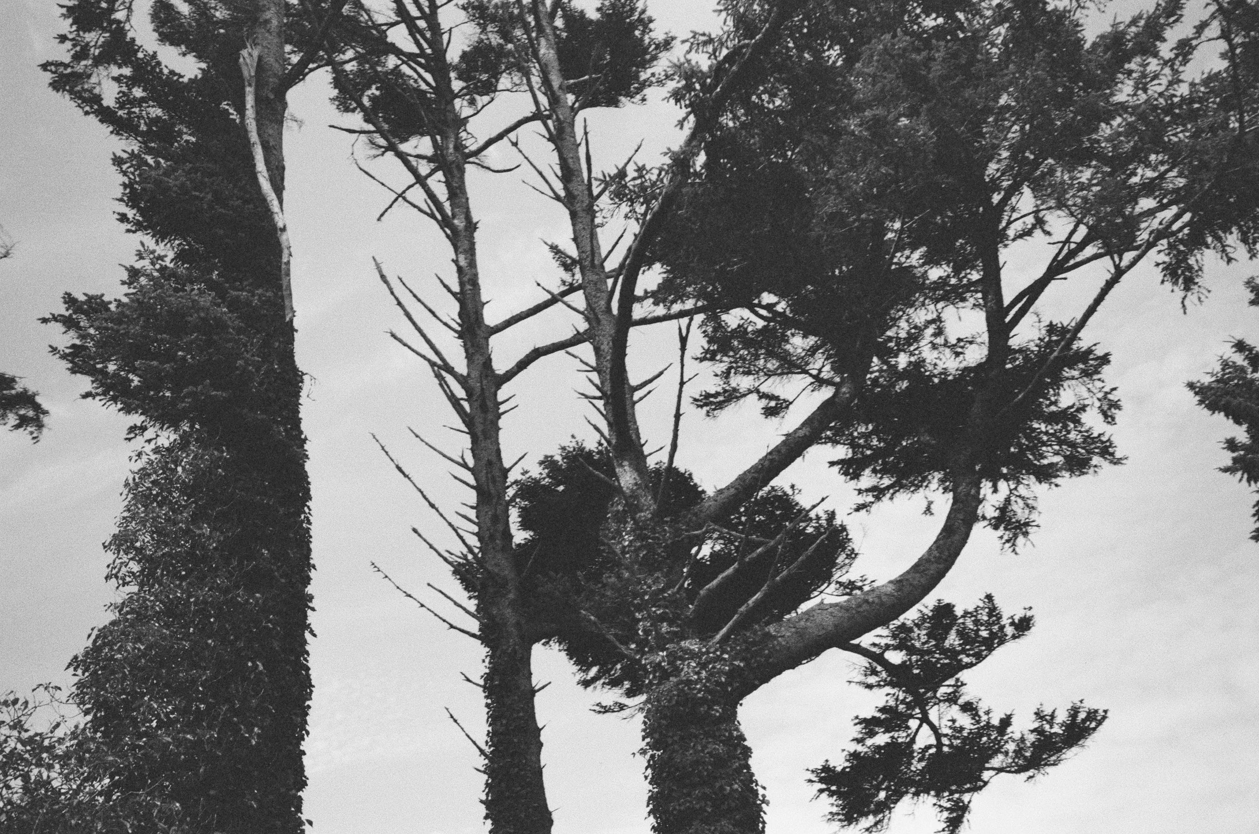3683_0021.jpg