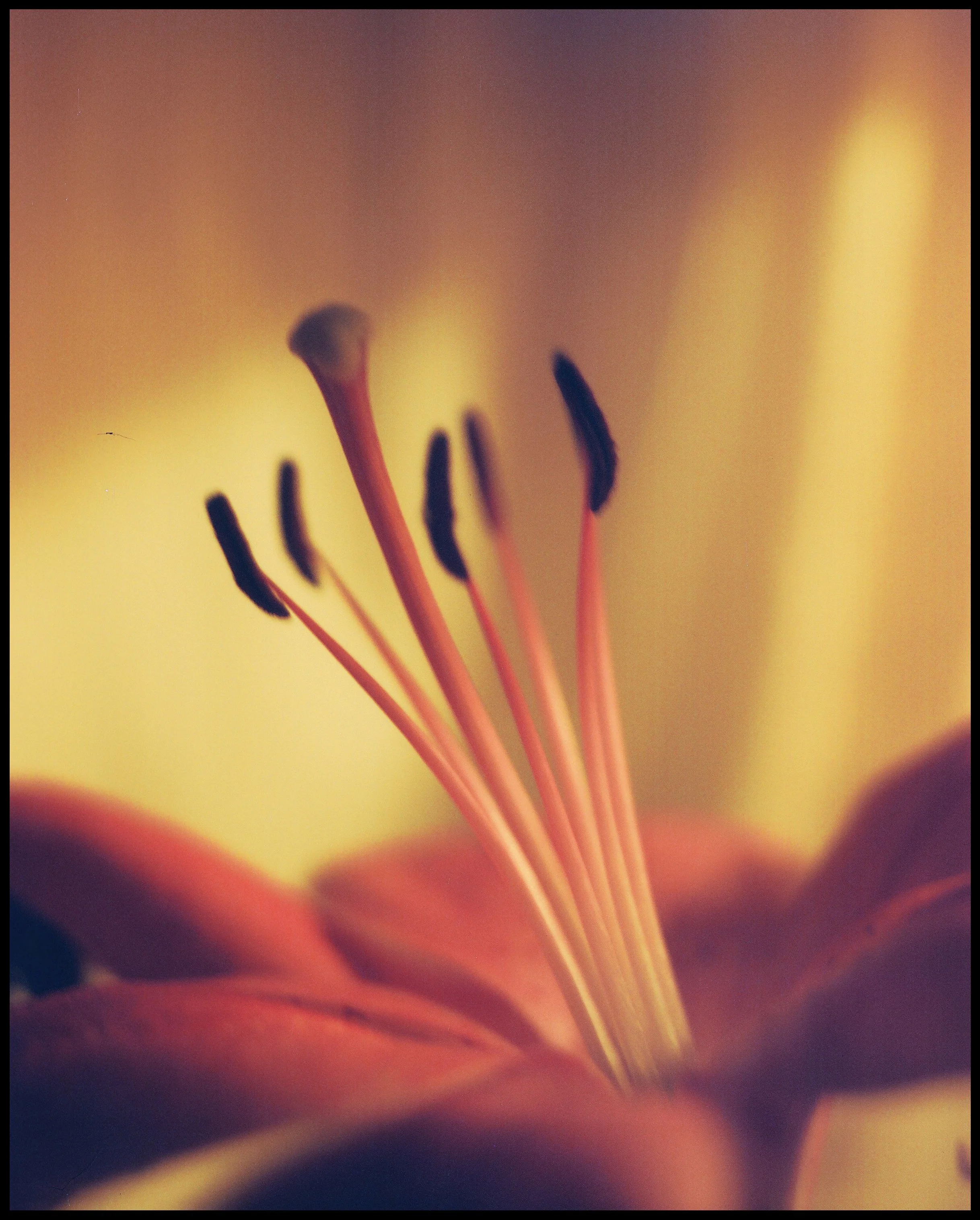 0348_0004 Edited.JPG