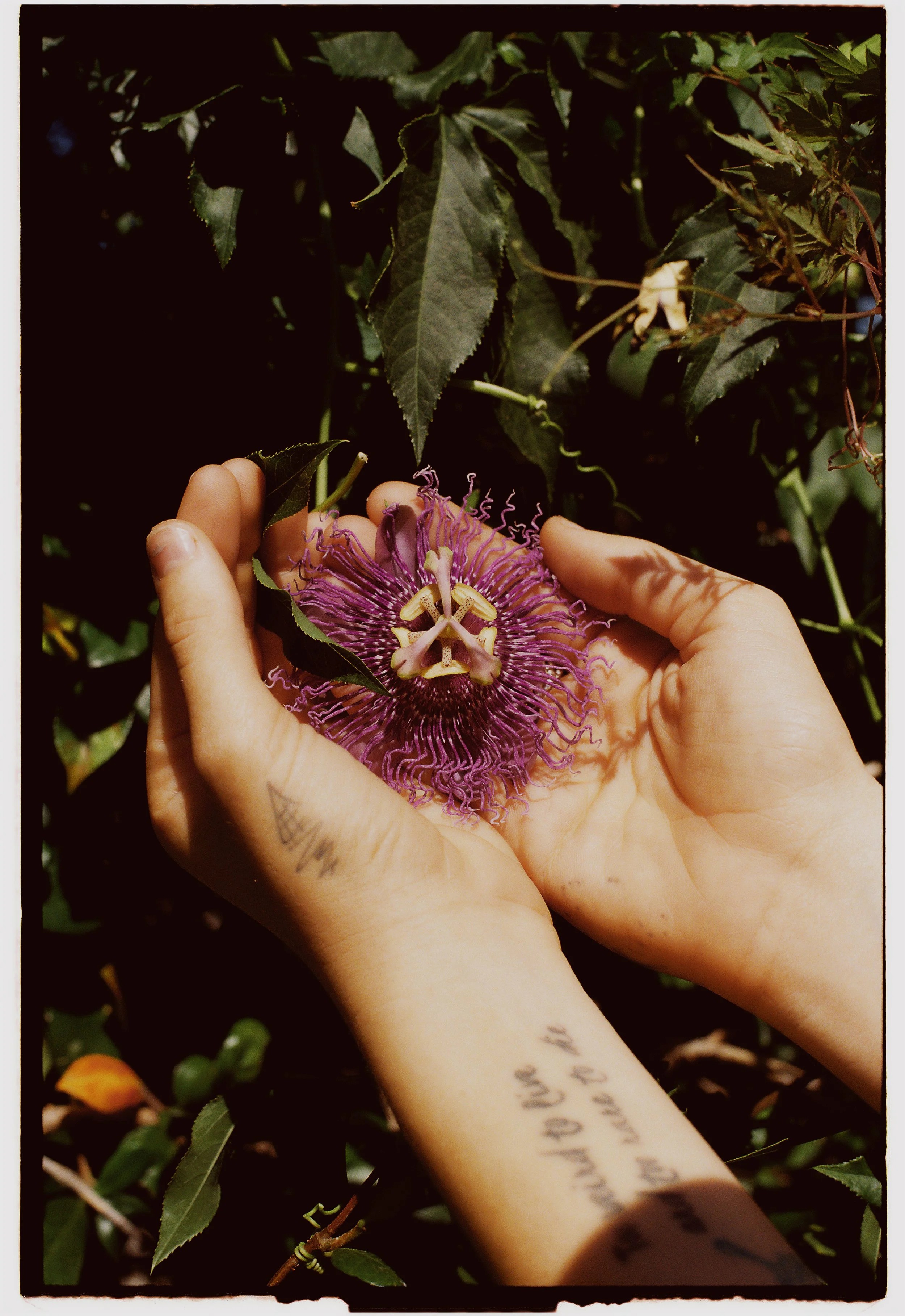 IMG_1379 Edited 2.JPG