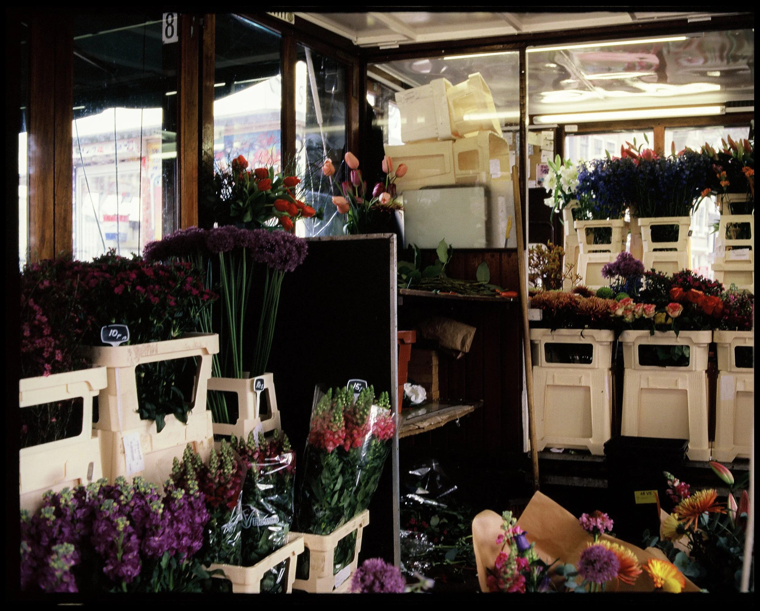 rks_spring23-84 Edited 2.JPG