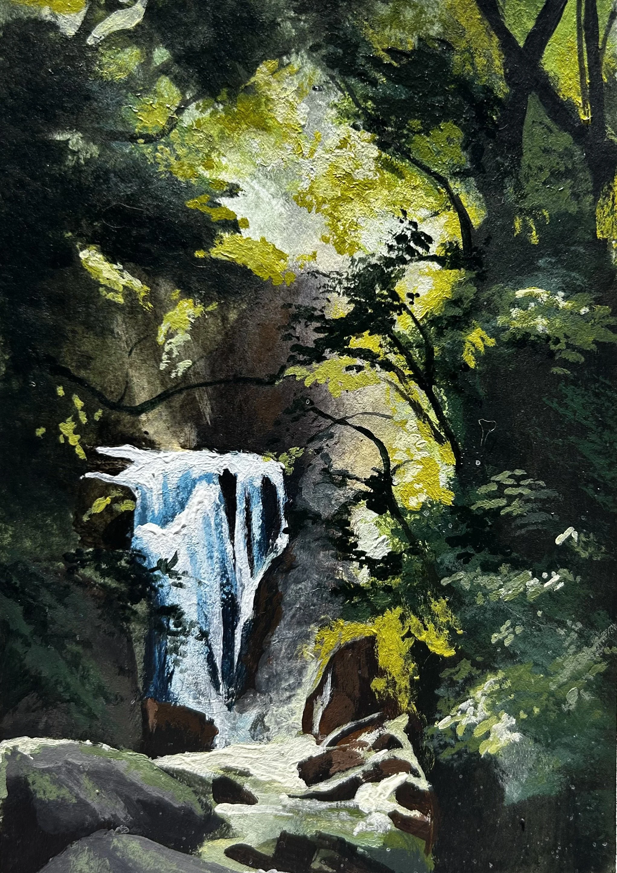 Lush Forest