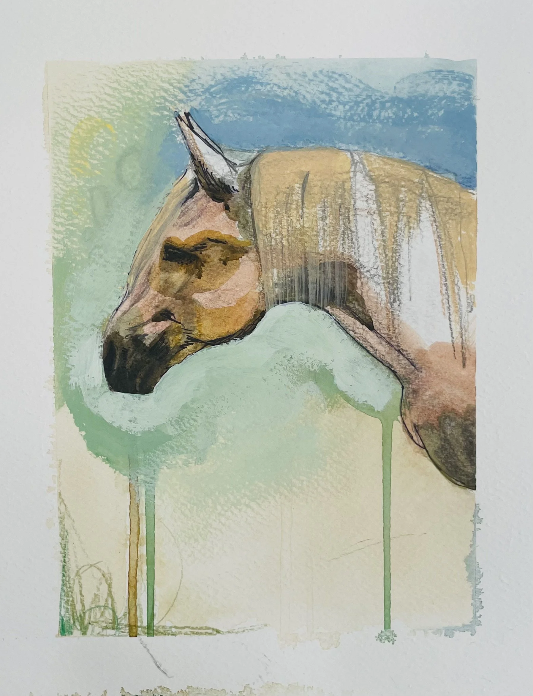 Horse Study