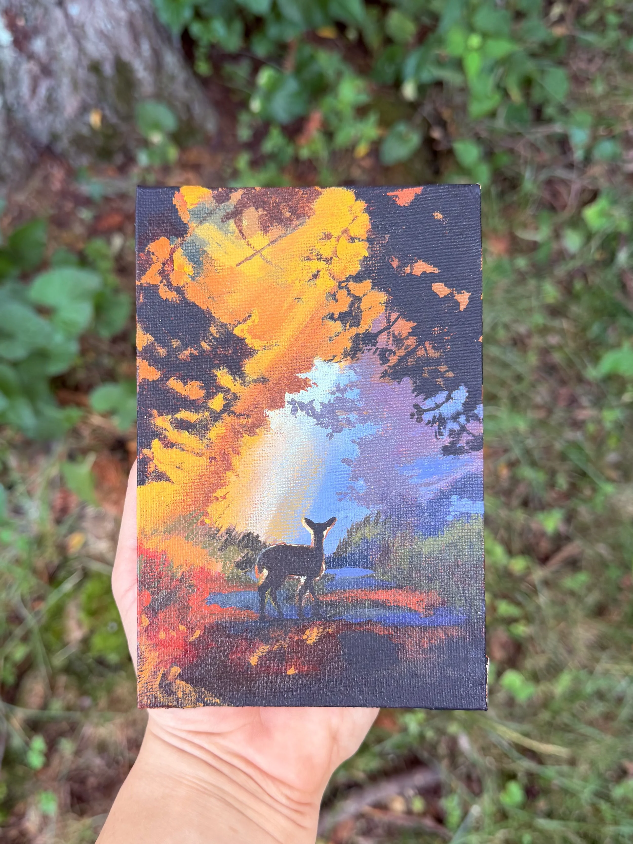 Morning Light