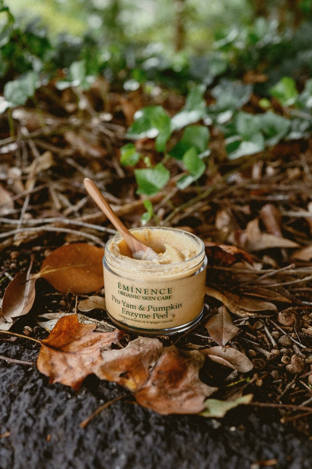 From Abundance to Surrender: Fall Is Coming to The Tiny Spa