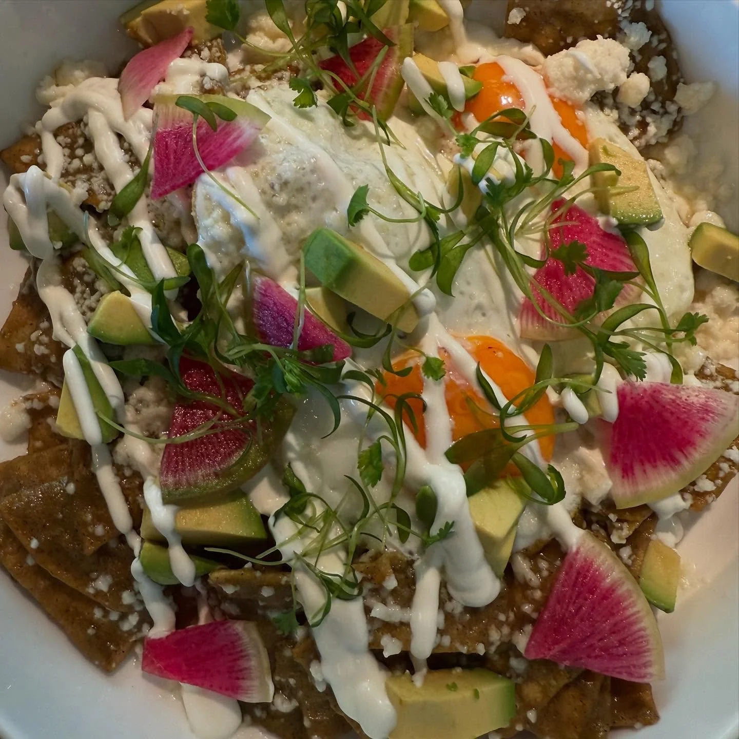 Contact @hedonistluxurytravel to book your next travels, elevated with perks such as :
 
🍳 Breakfast for two included (in hotel restaurant or in room dining) 
⬆️ One category room upgrade subject to availability 
⏰ Early check in/Late check out subj