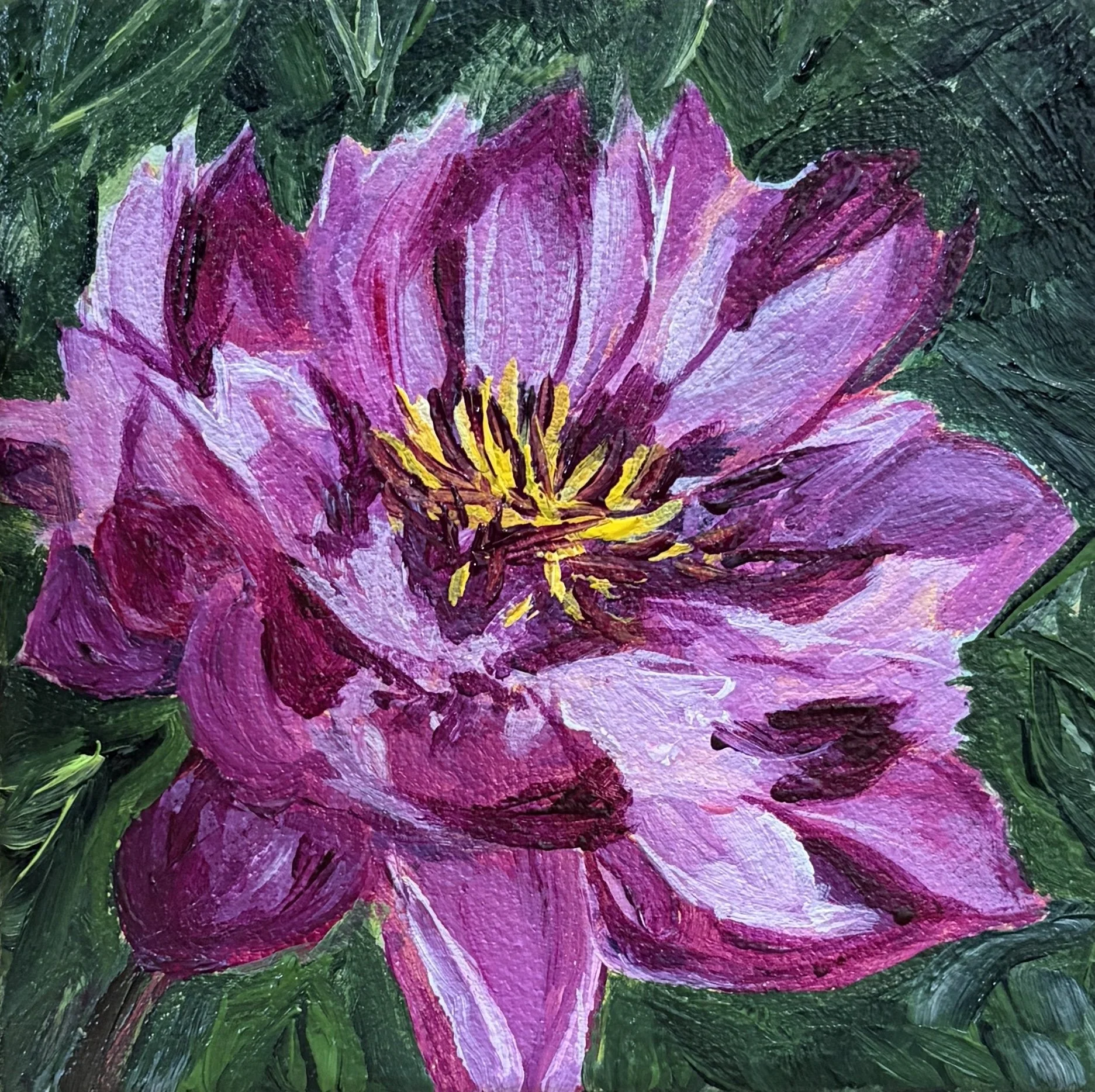 Glossy Petals.jpg