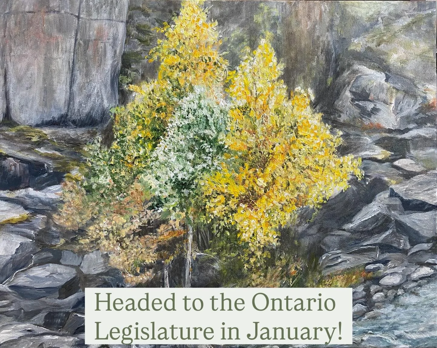 🎉🎨🎉 I am so happy to announce that for the 3rd year running, one of my Canadian landscape paintings has been accepted into the Ontario Legislature&rsquo;s Art &agrave; la Carte Exhibition, which runs for the entirety of 2026! 

&ldquo;Autumn Comes