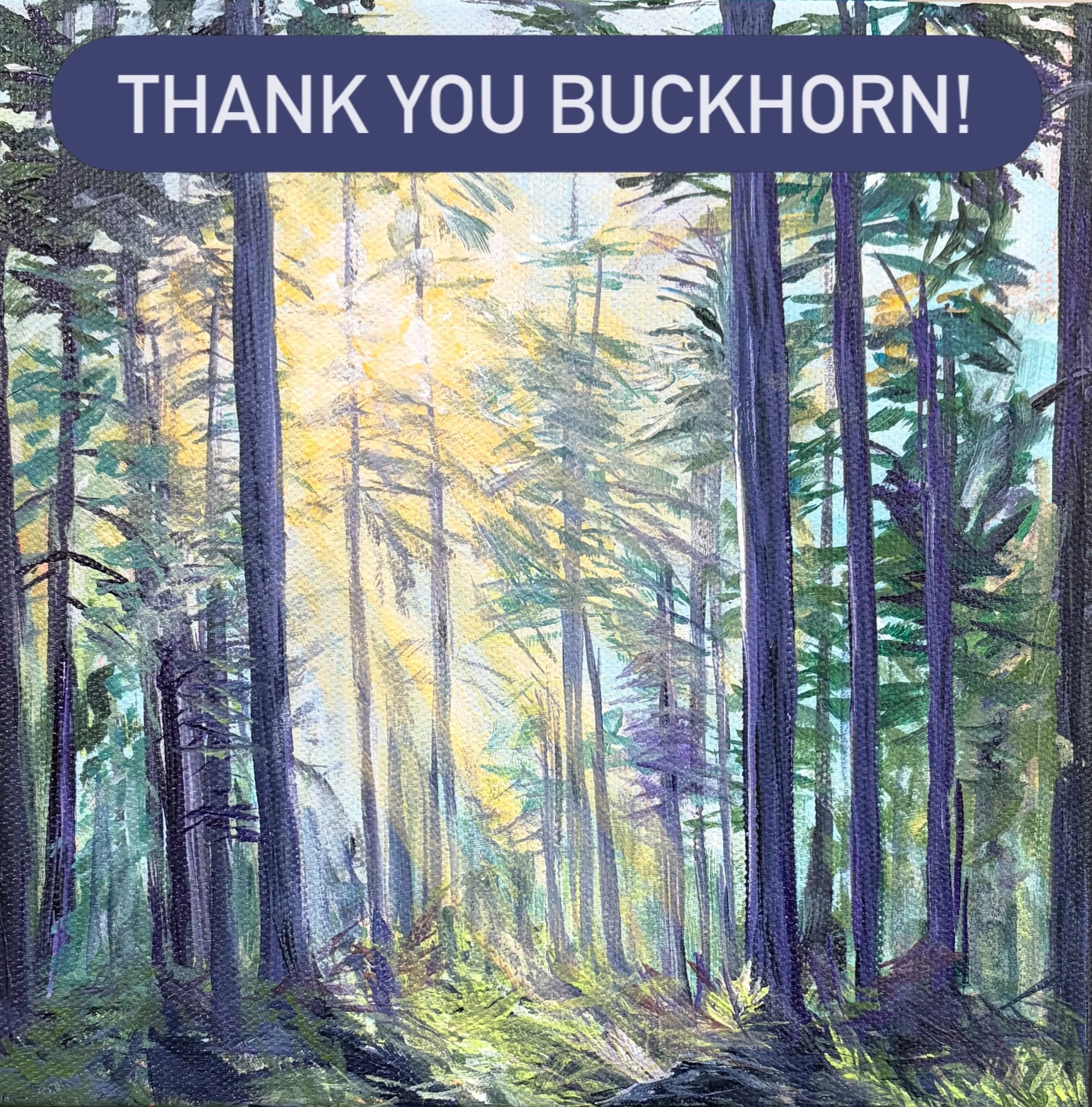 🎉🎉🎉 That&rsquo;s a wrap on the Buckhorn Festival of the Arts!
Thank you to my new collectors who are graciously giving new homes to the wide range of paintings shown, all the visitors for great conversations and kind comments, the fantastic leader