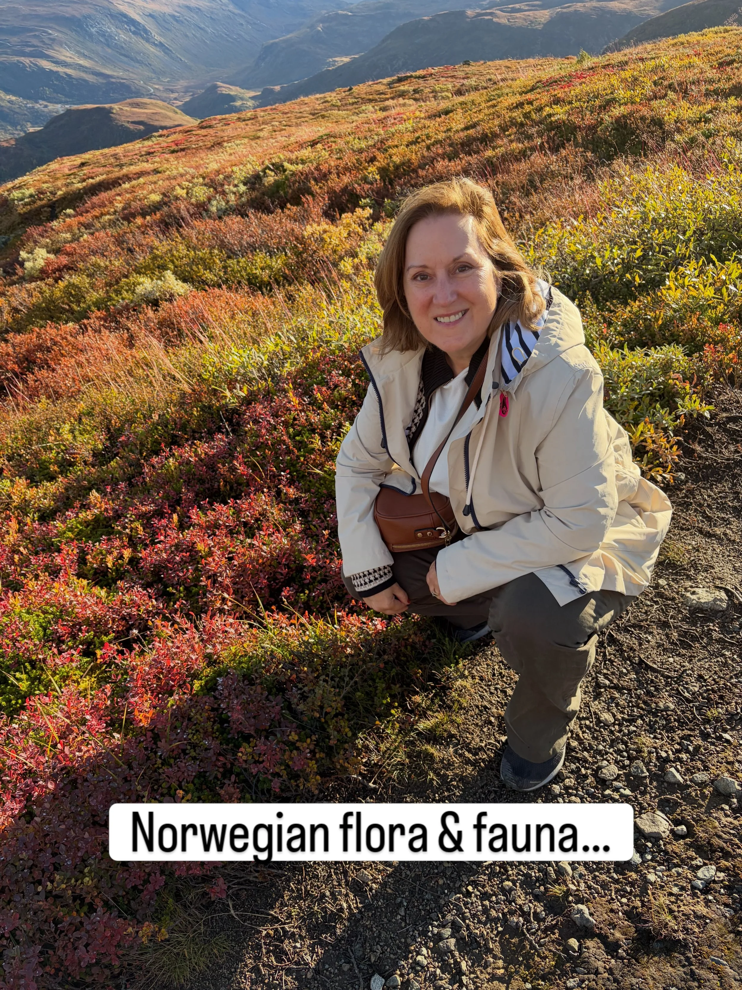 🌺🌼🌺 This last Norway travelogue features both the rich colours of the plants carpeting the mountain tops and the lovely flowers outside people&rsquo;s homes in Stavanger.
We were fortunate to have sunshine for a few hours in an area that is the ap