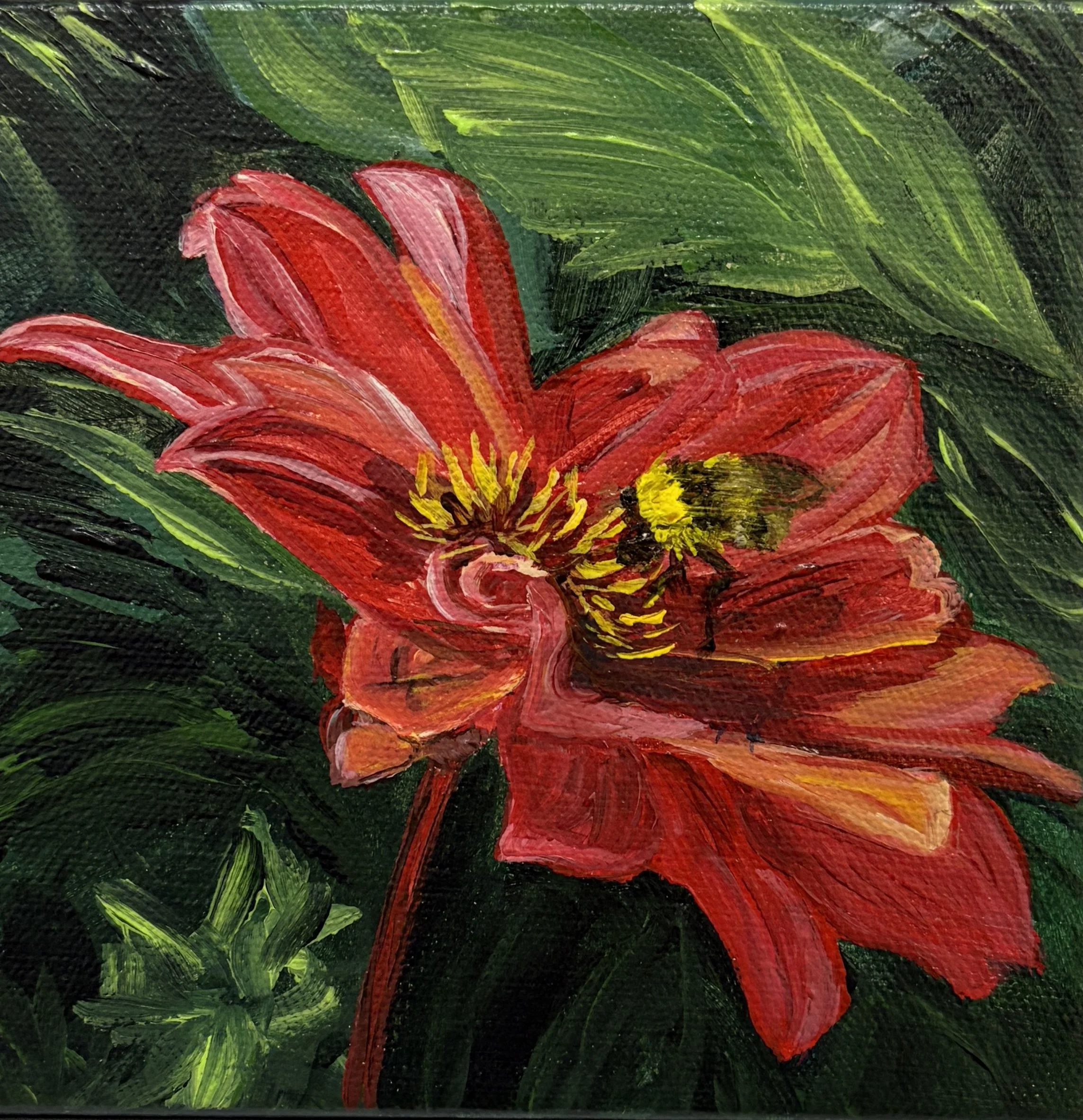 Bee's Paradise