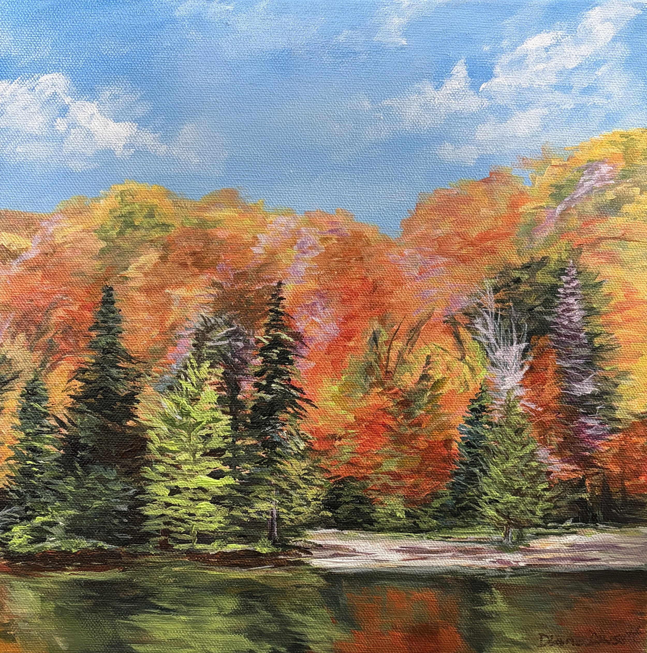 The Fall Forest Says Hello.jpg