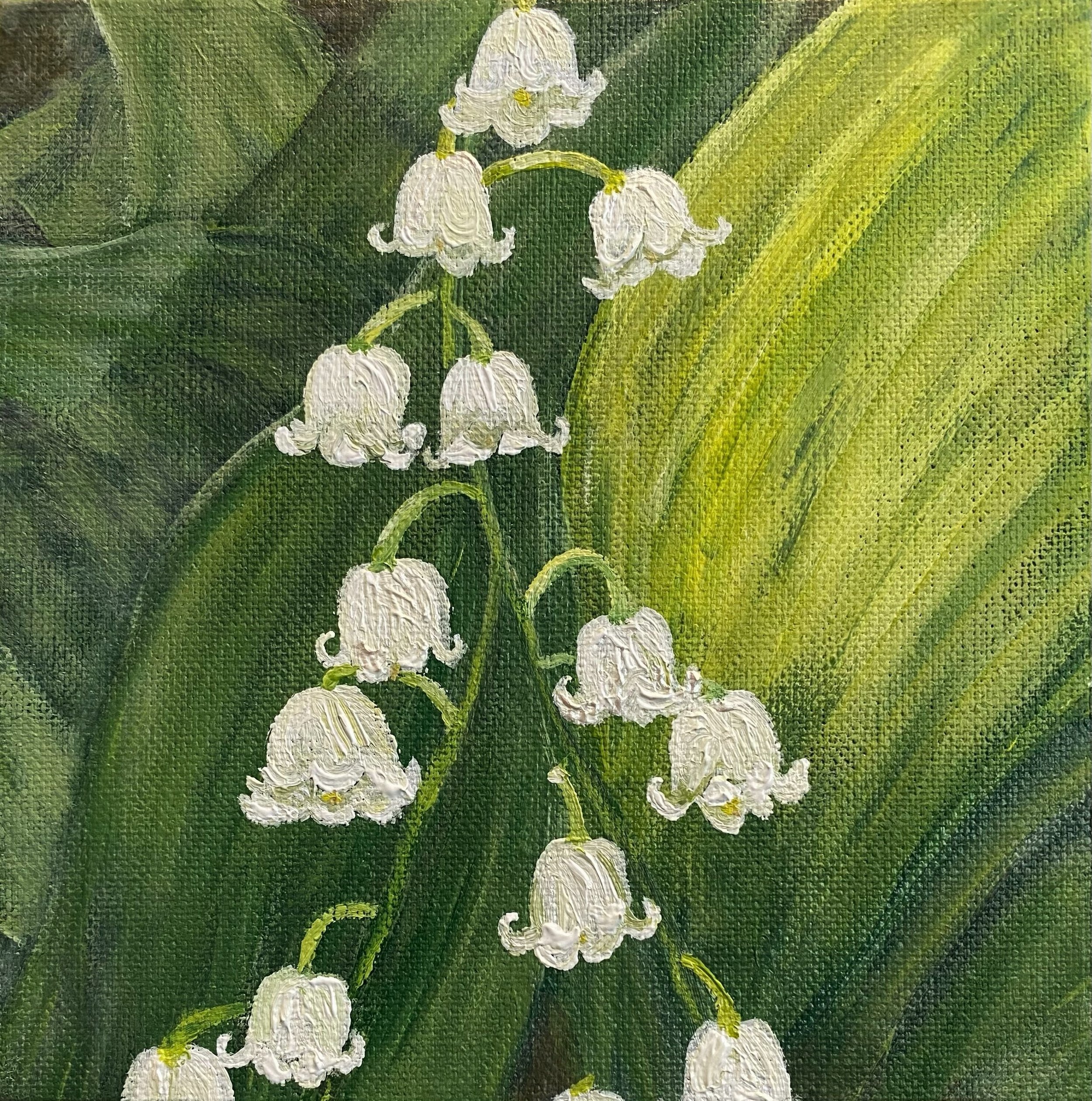 Lily of the Valley.jpeg