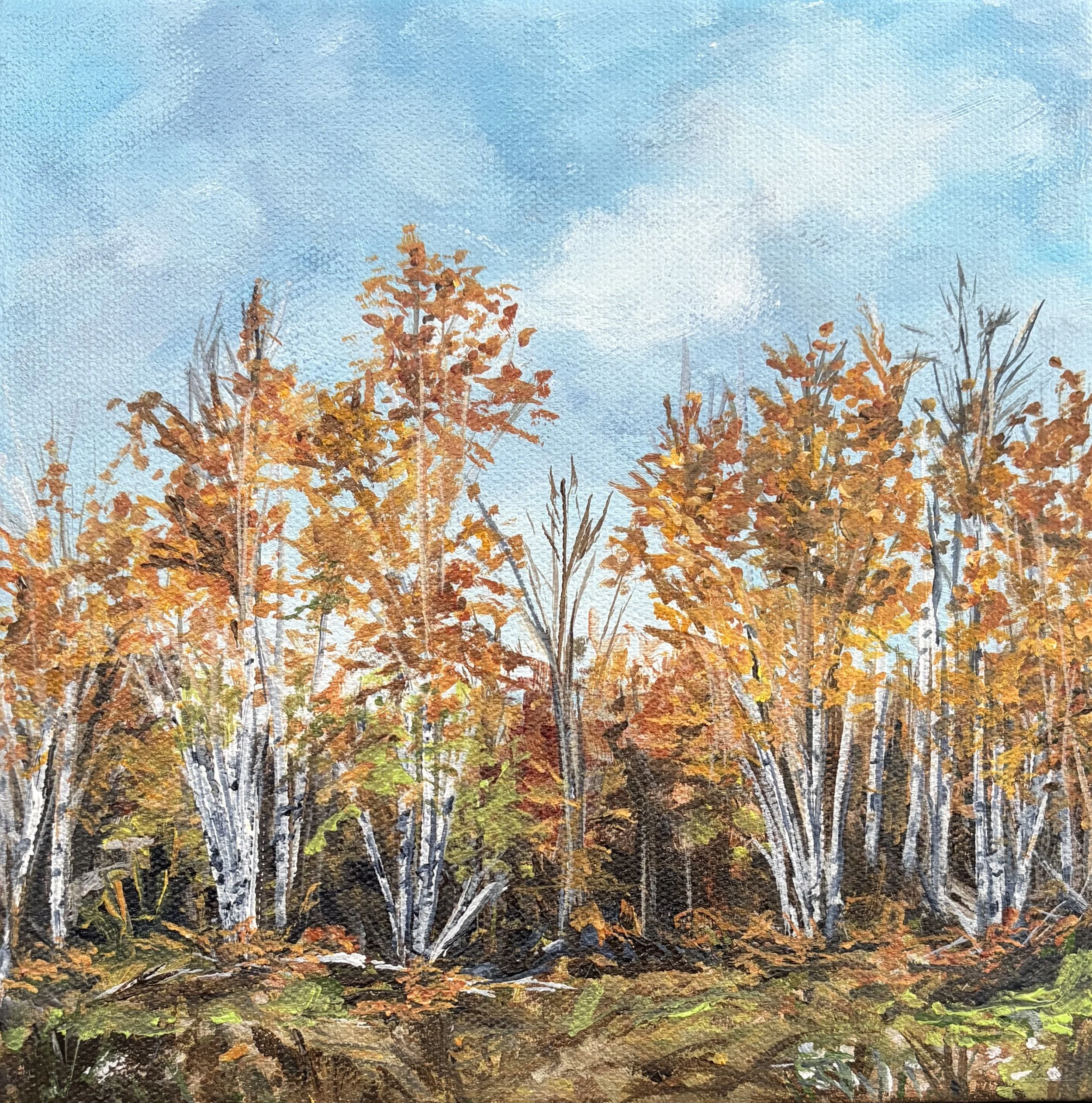 The Beauty of Birches.jpg