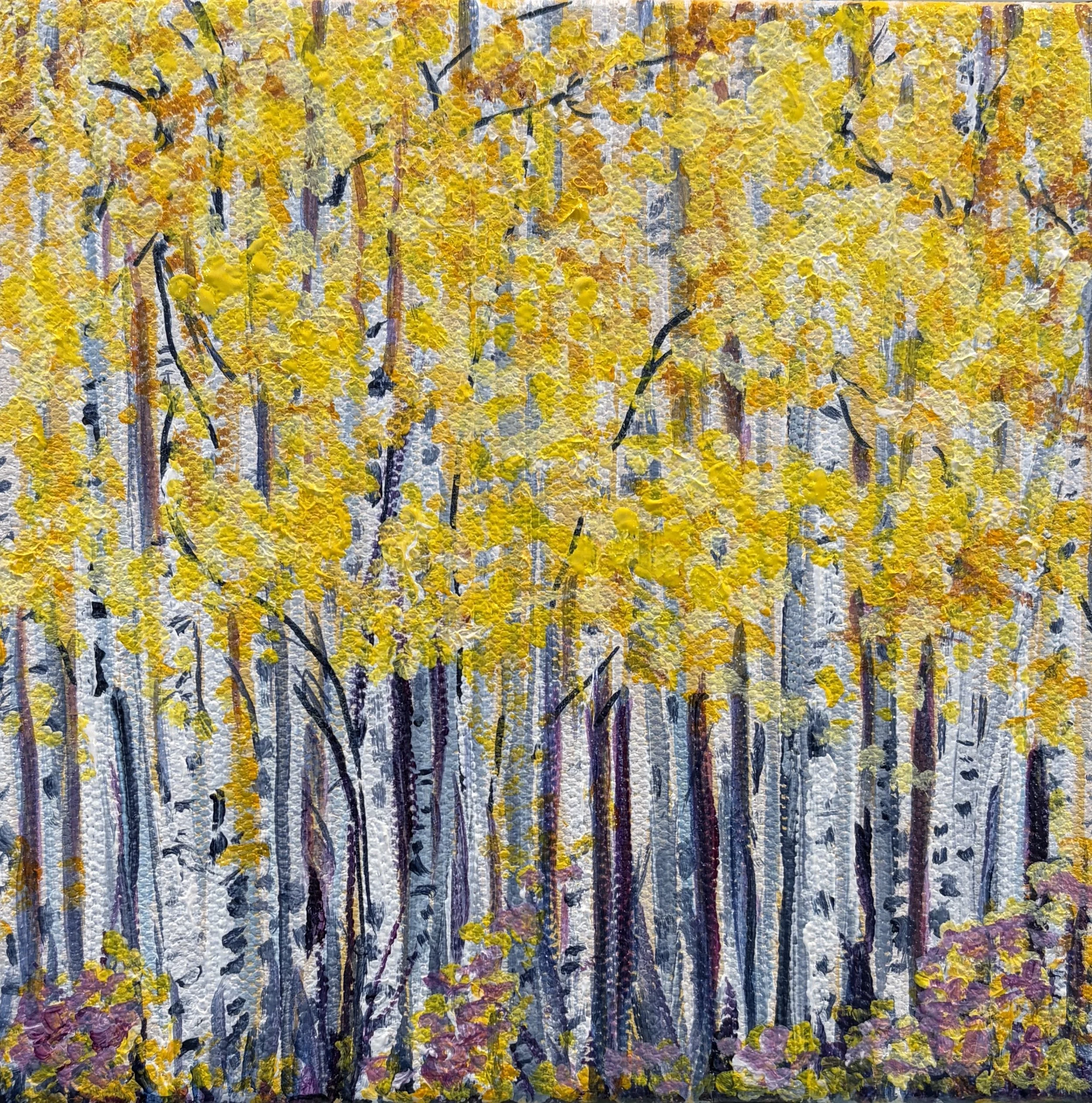 Bright Birches 2.jpg