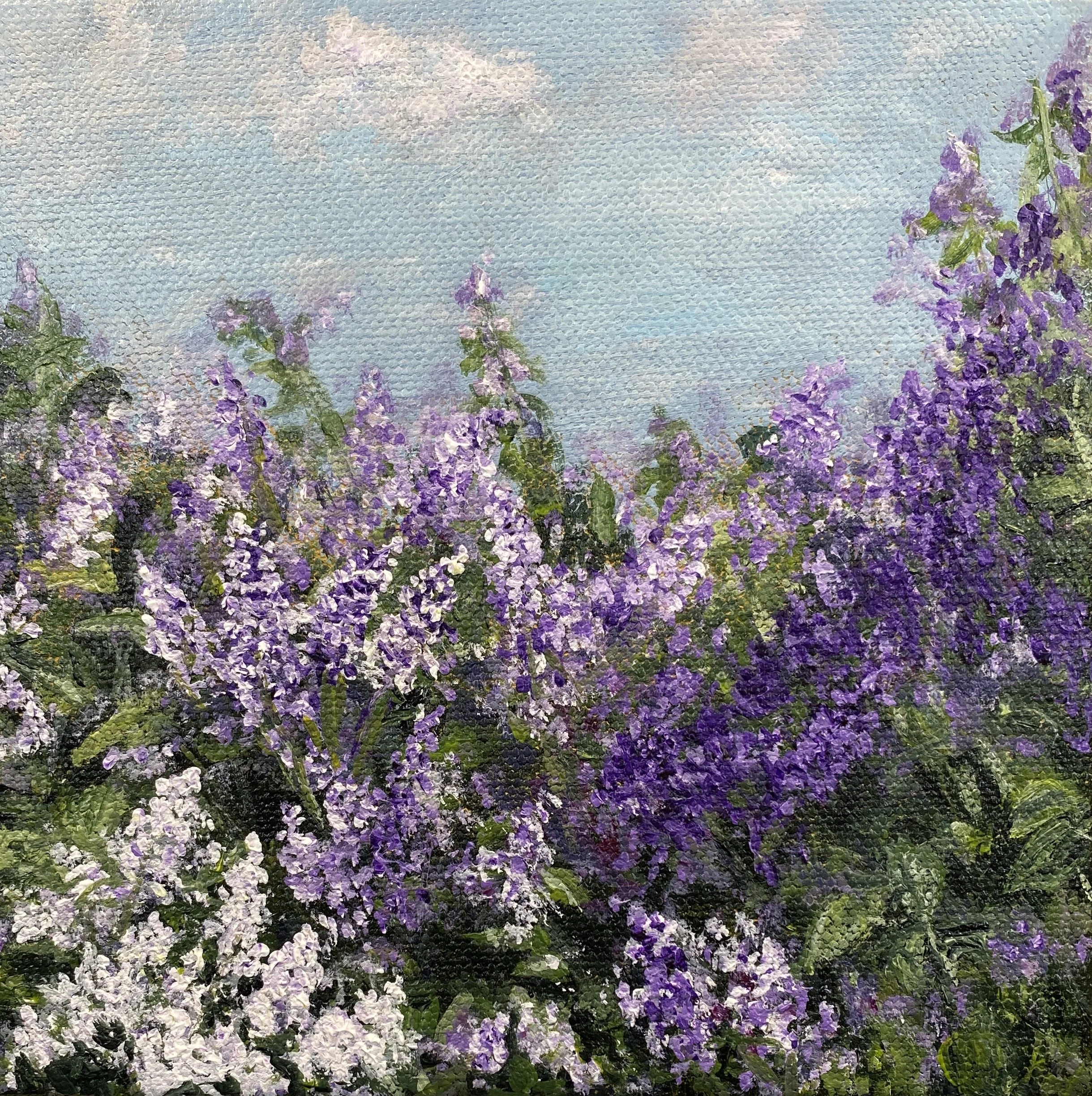 Lilac Feast.jpg