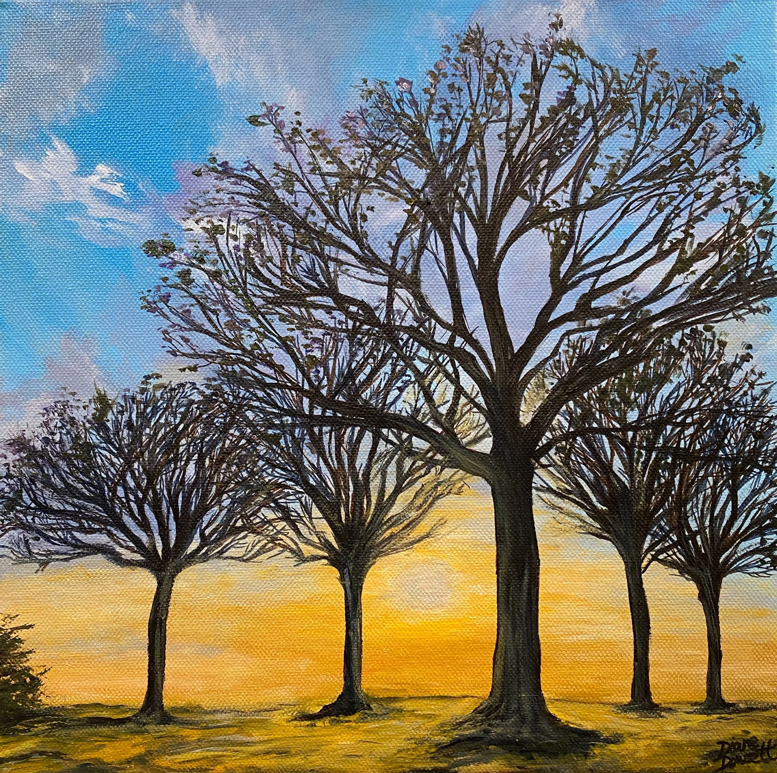 Embracing the Spring Sun.jpeg