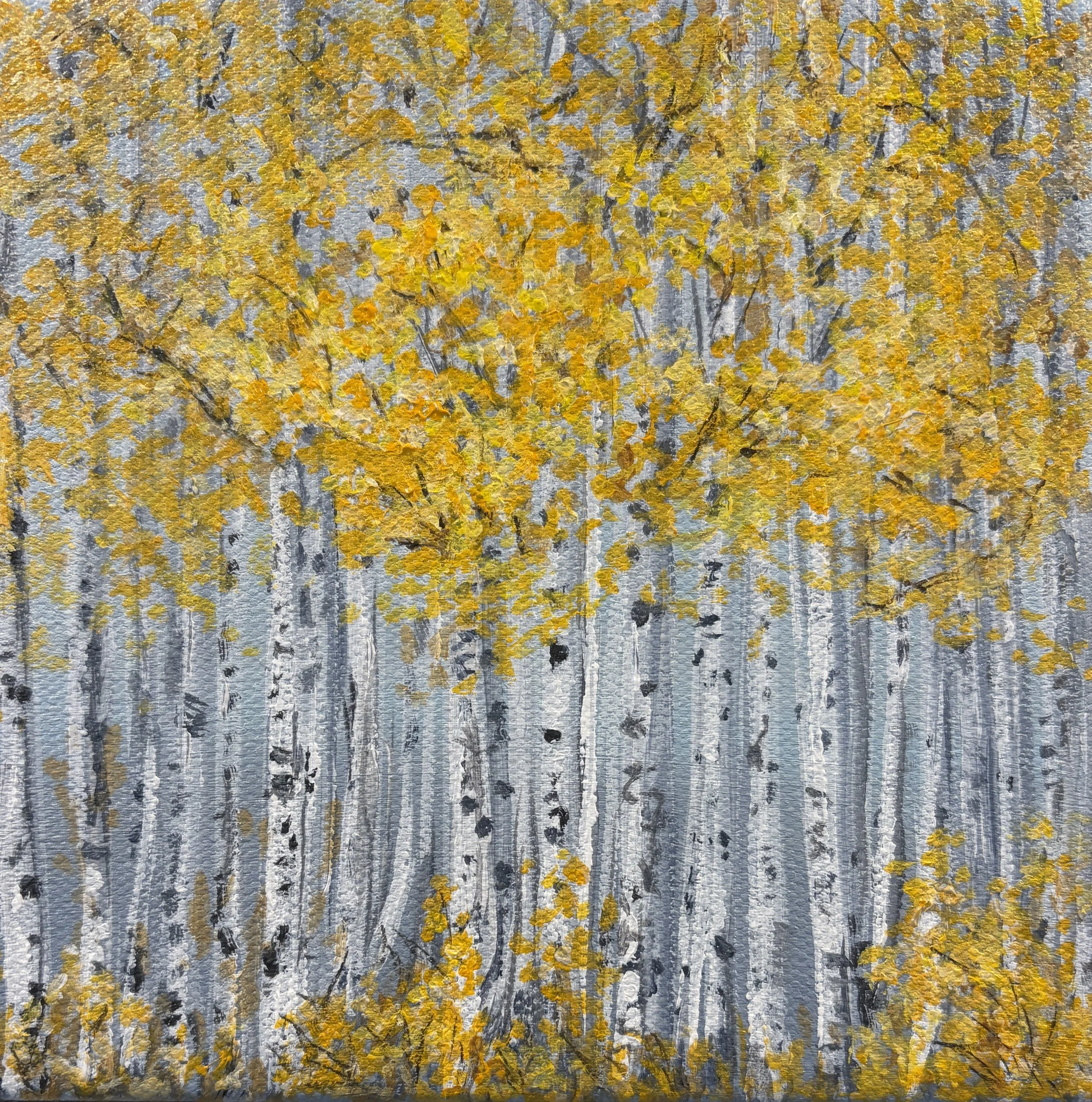 Bright Birches