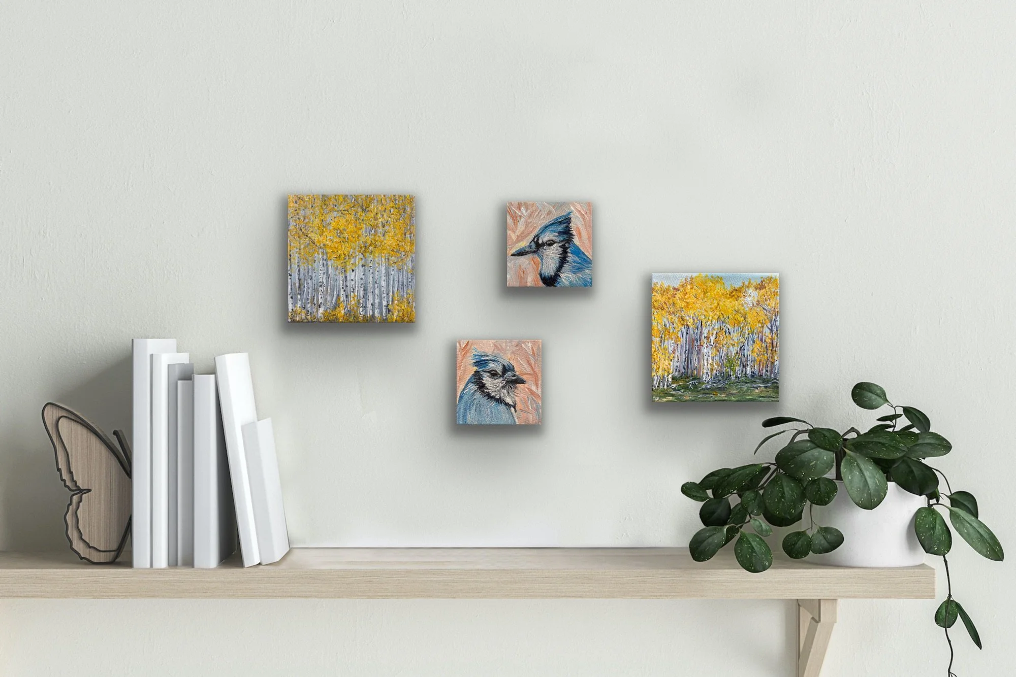 Image-1 - 2026-02-20T112658.522.jpg