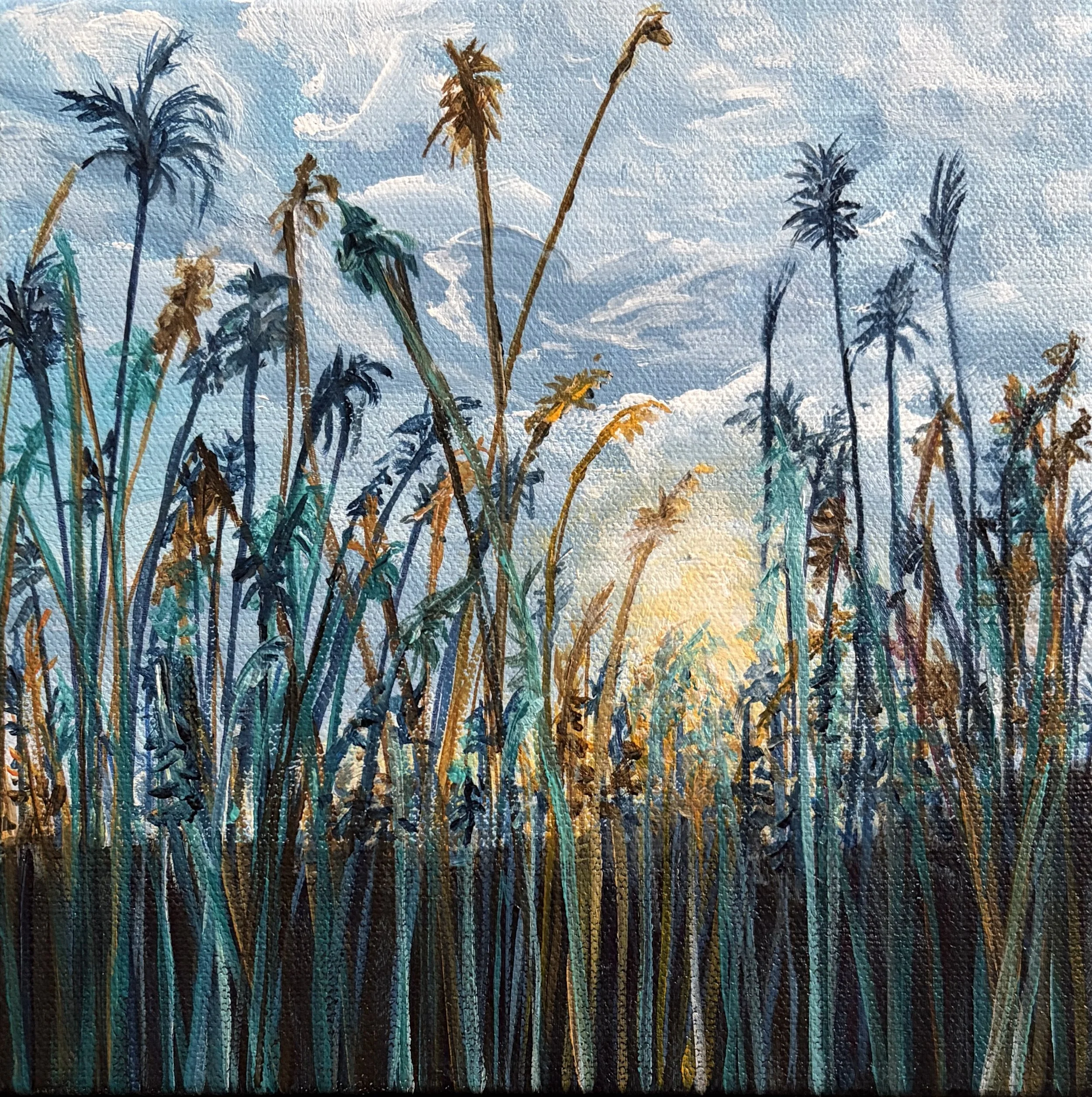 Colourful Glow in the Marsh.jpg