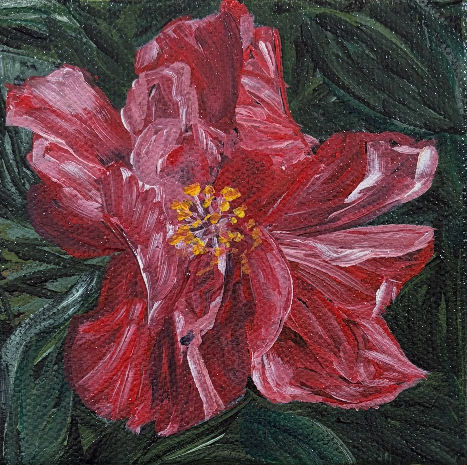 Hello Hibiscus.jpg