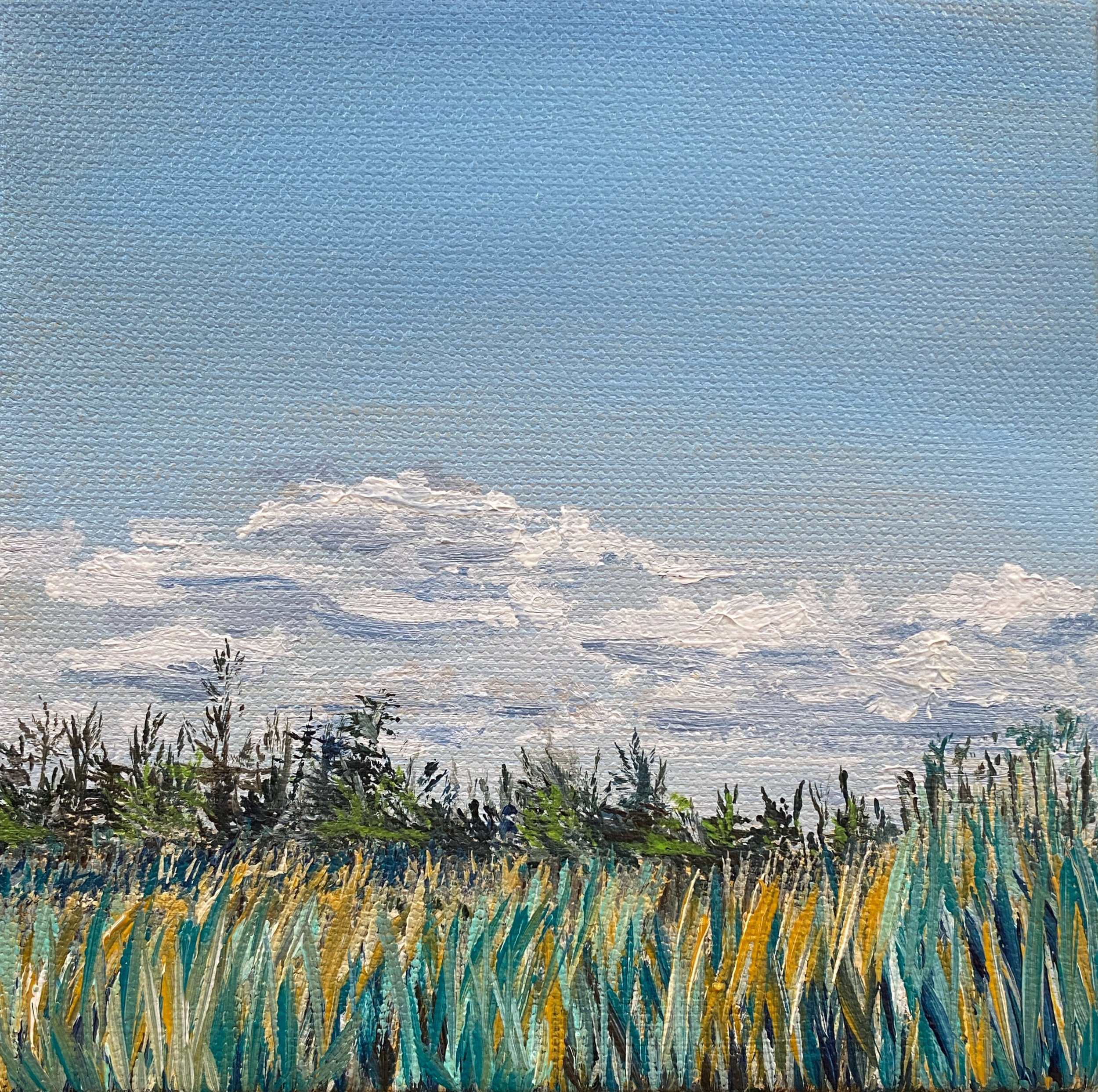 Grasses Under a Winter Sky